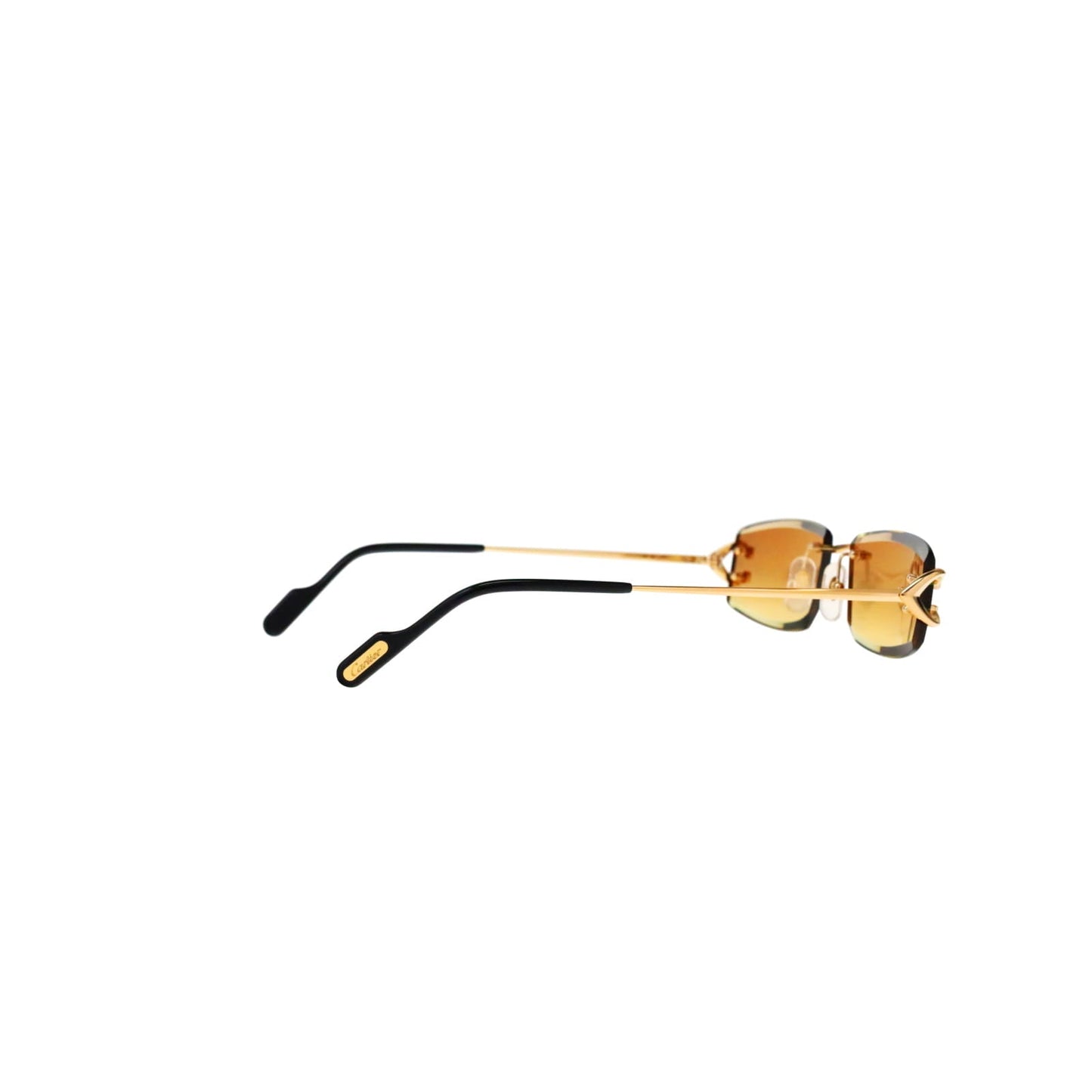 CT0465S Signature C  Rectangular Sunglasses