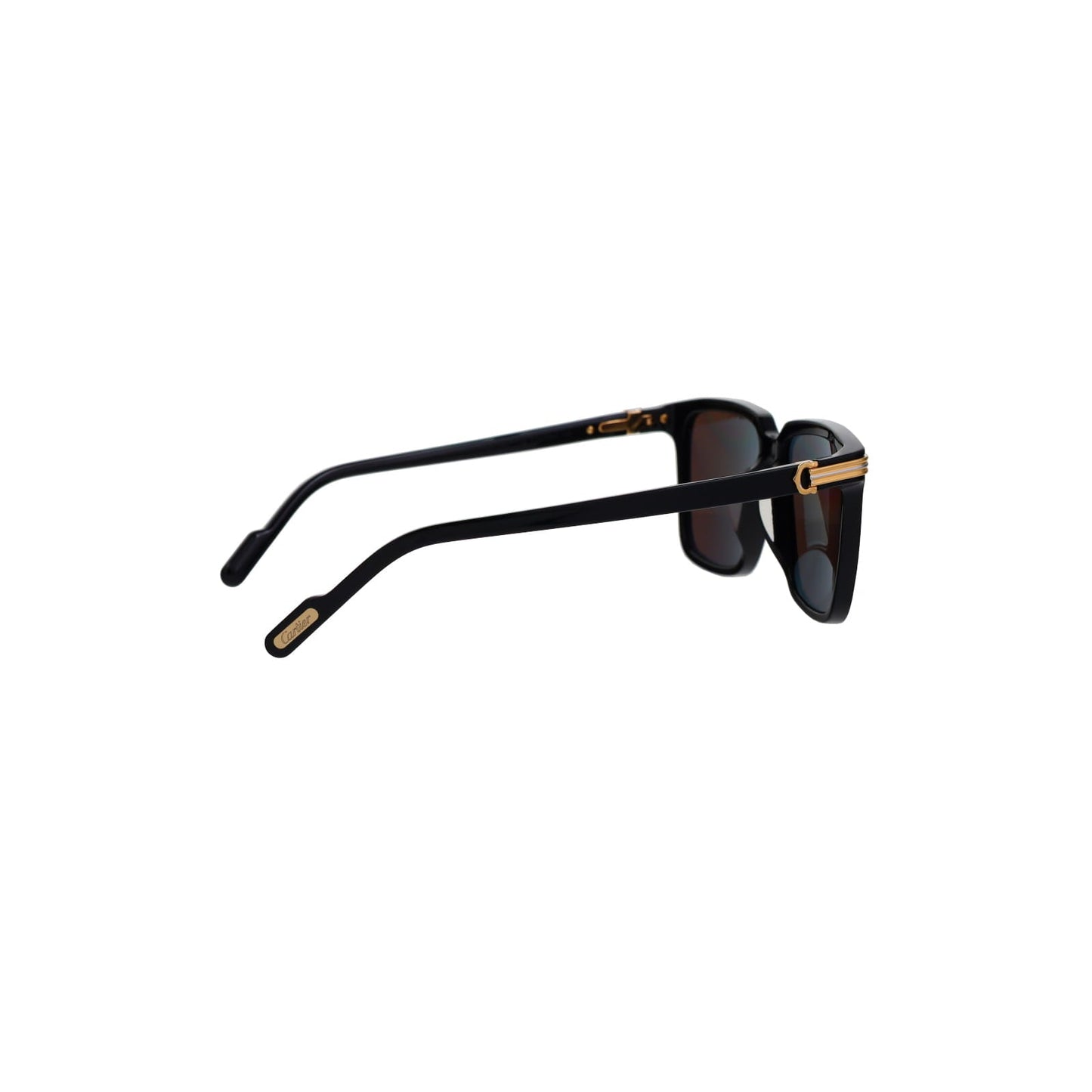 CT0366S Contemporary Acetate Sunglasses