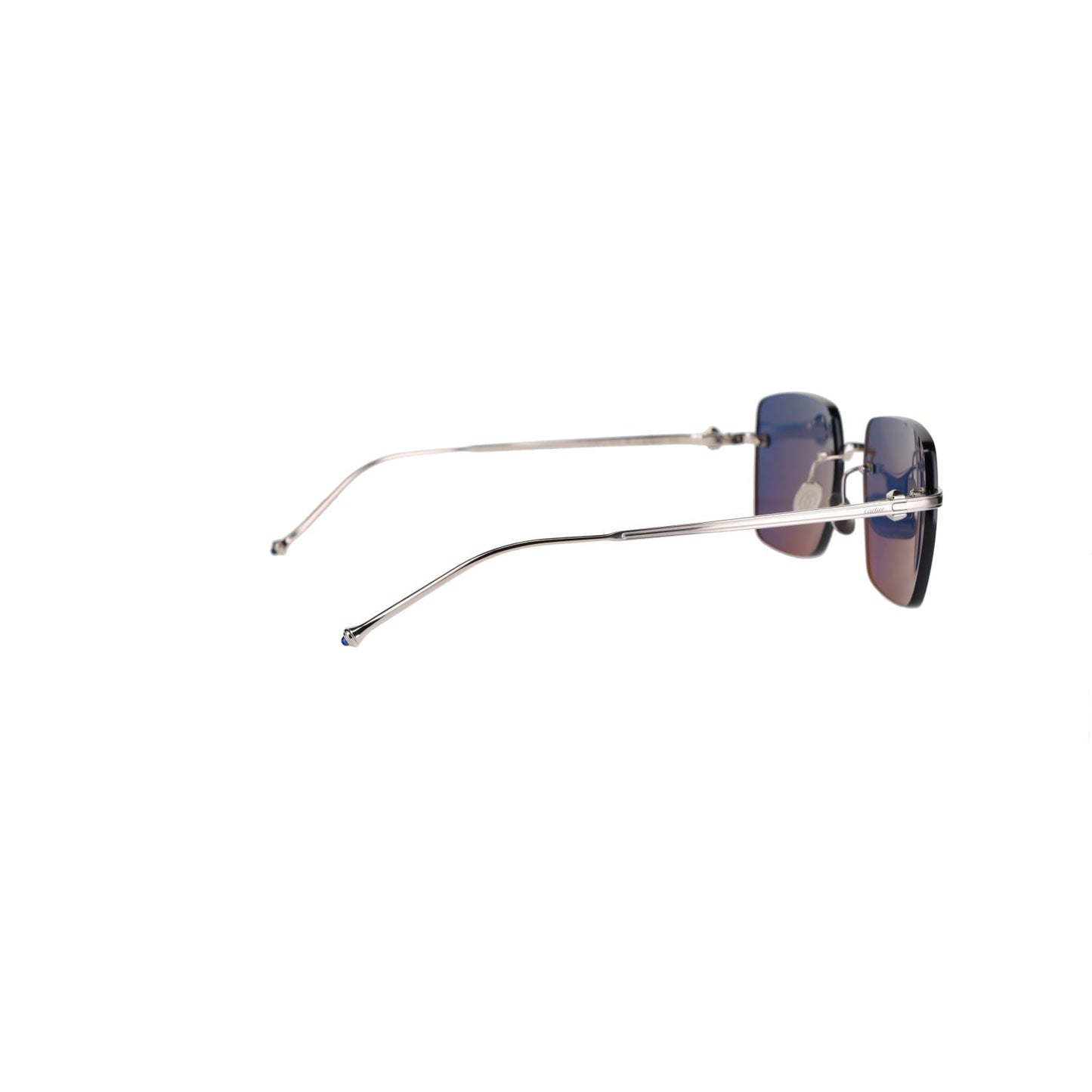 CT0403S Pasha Sunglasses