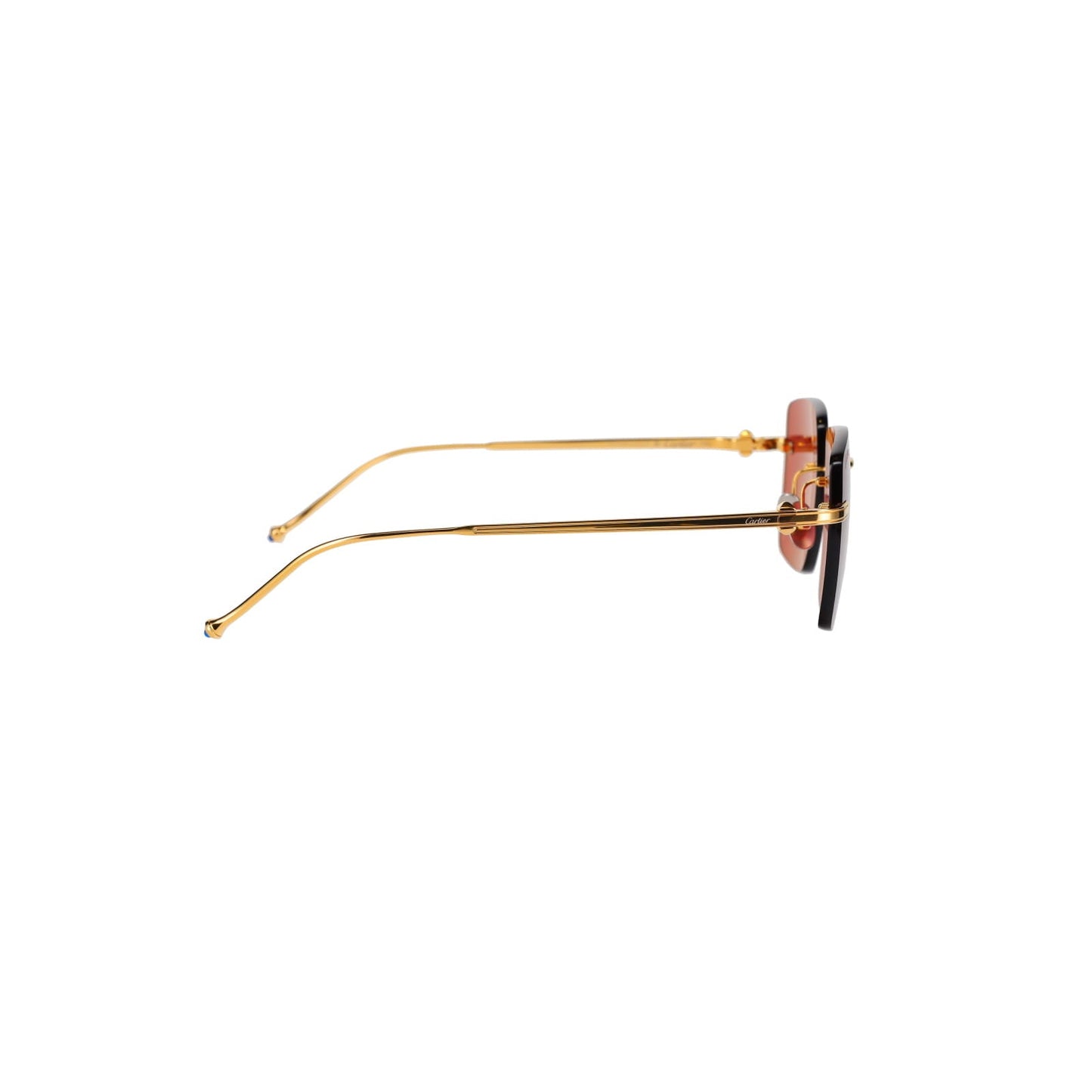 CT0403S Pasha Sunglasses