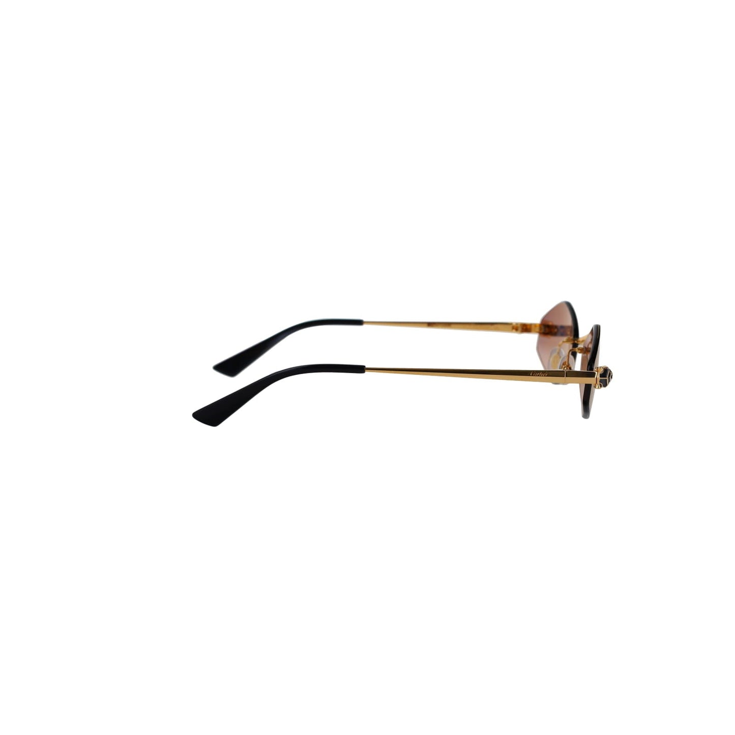 CT0433S Hexagonal Panthère Sunglasses