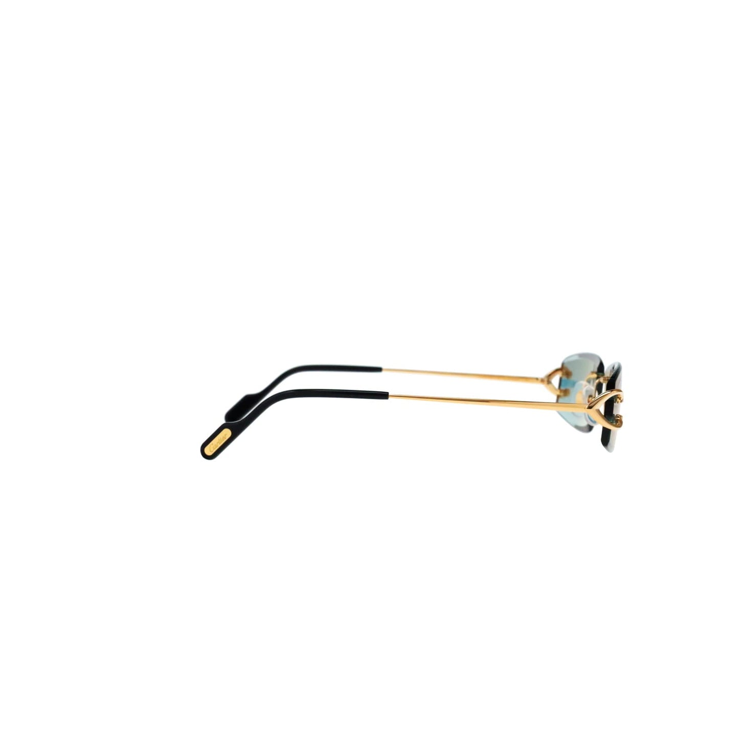 CT0465S Signature C  Rectangular Sunglasses