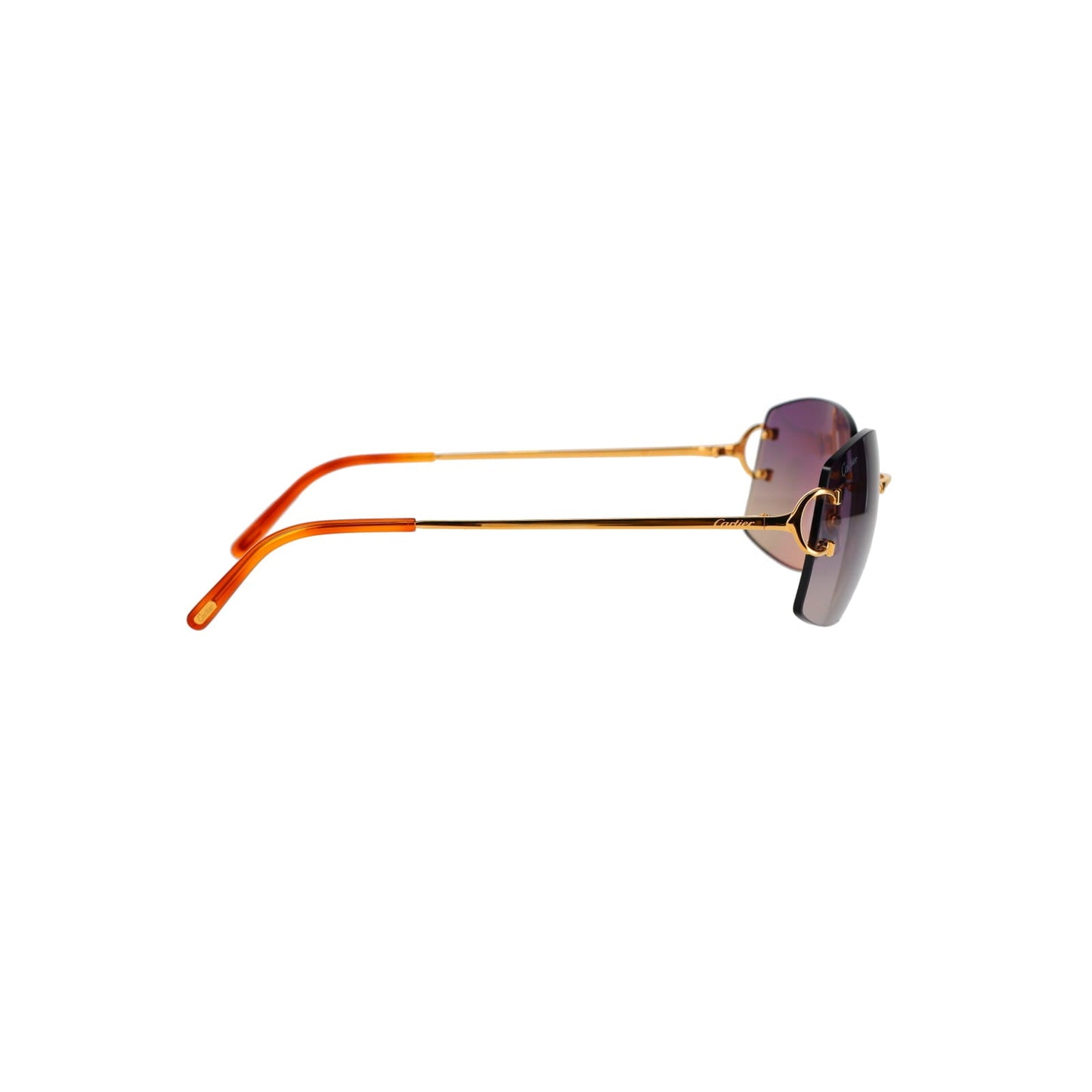 CT0008RS Signature C Sunglasses