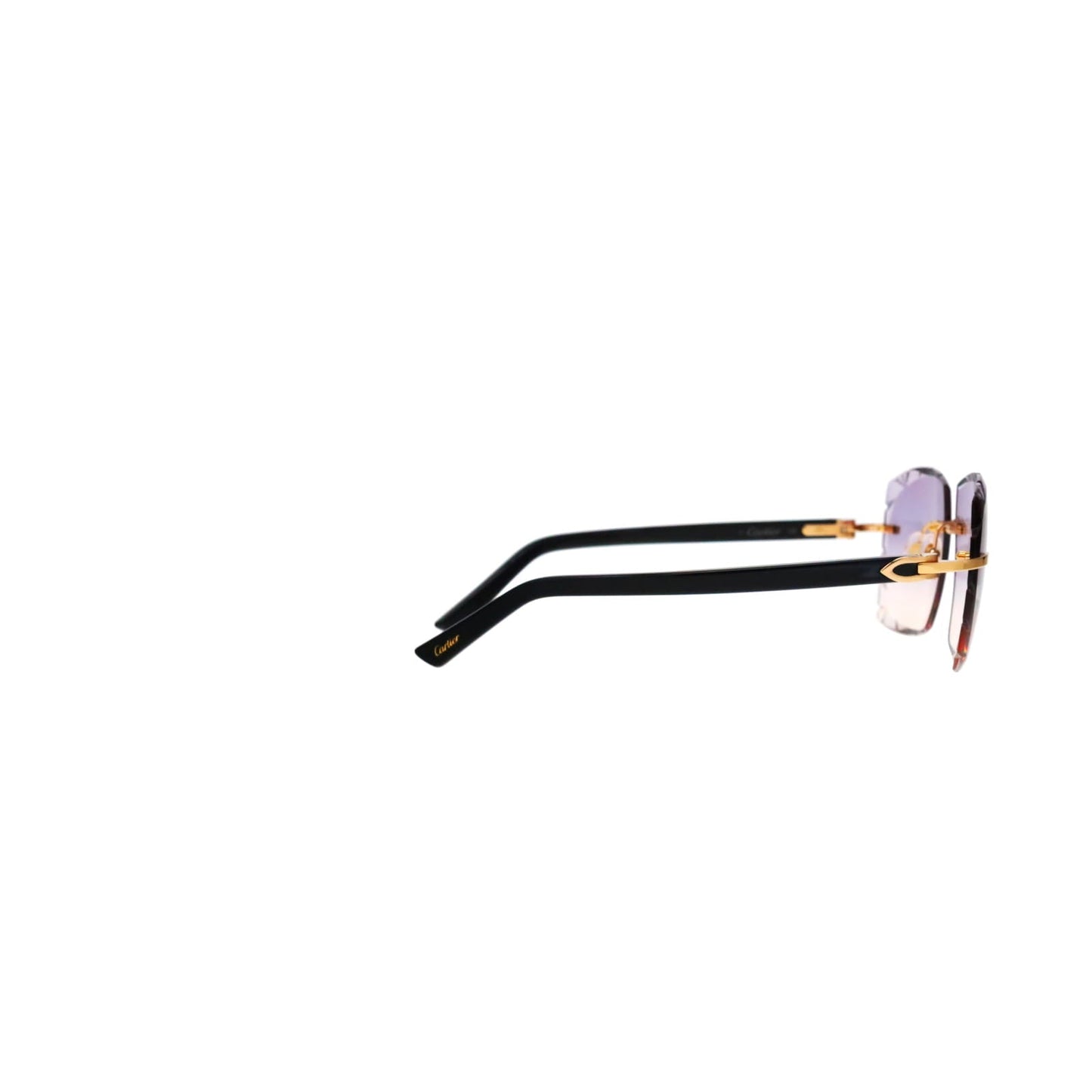 Cartier Custom C Décor Acetate Sunglasses
