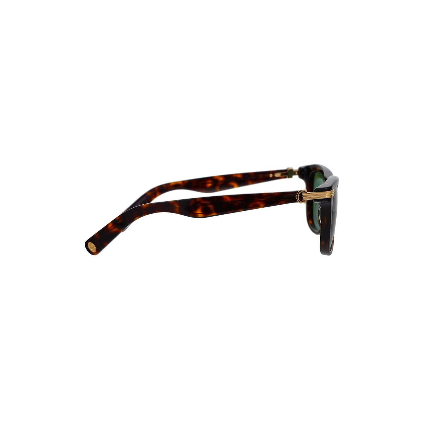 CT0396S Godron Contemporary Acetate Sunglasses