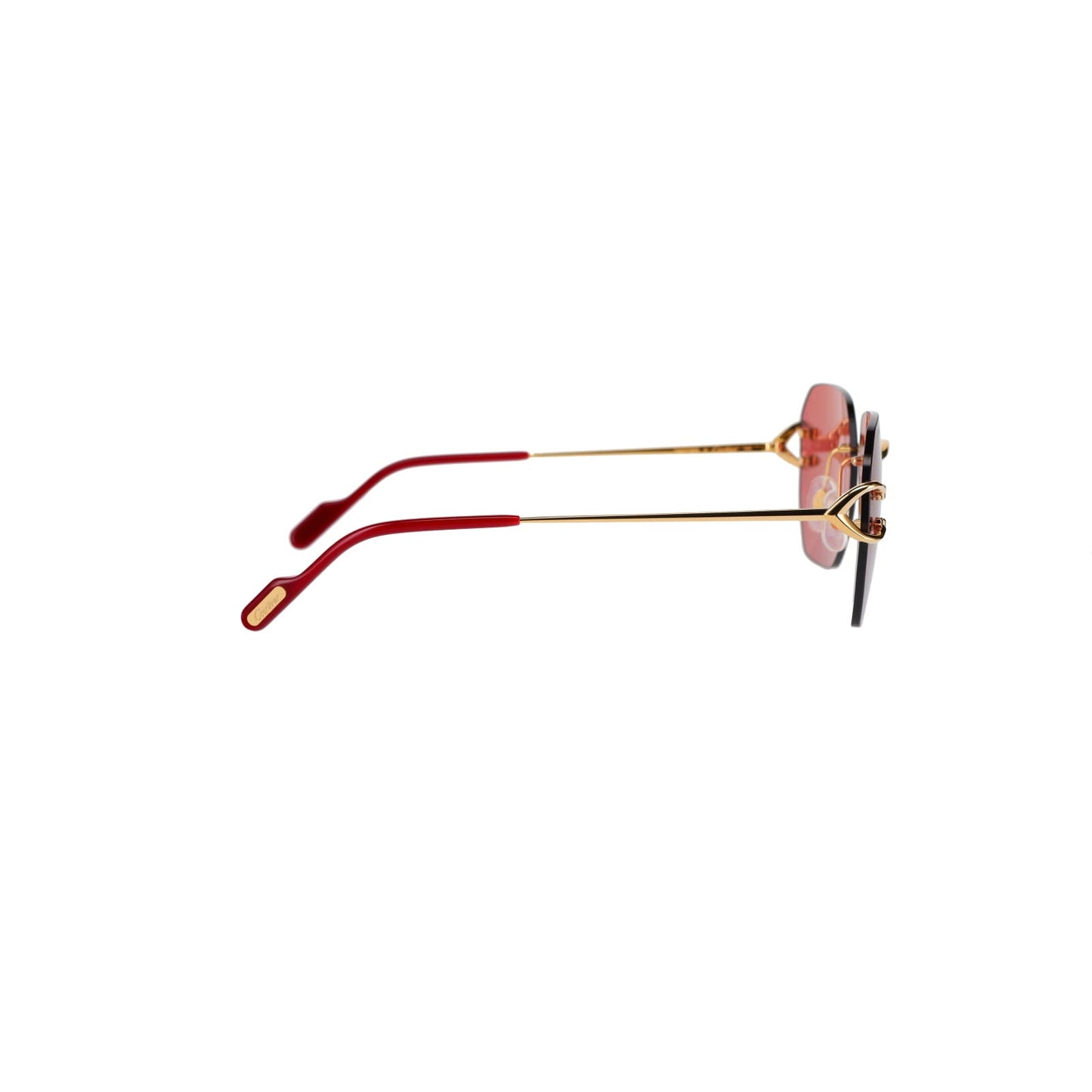 CT0394S Signature C Sunglasses