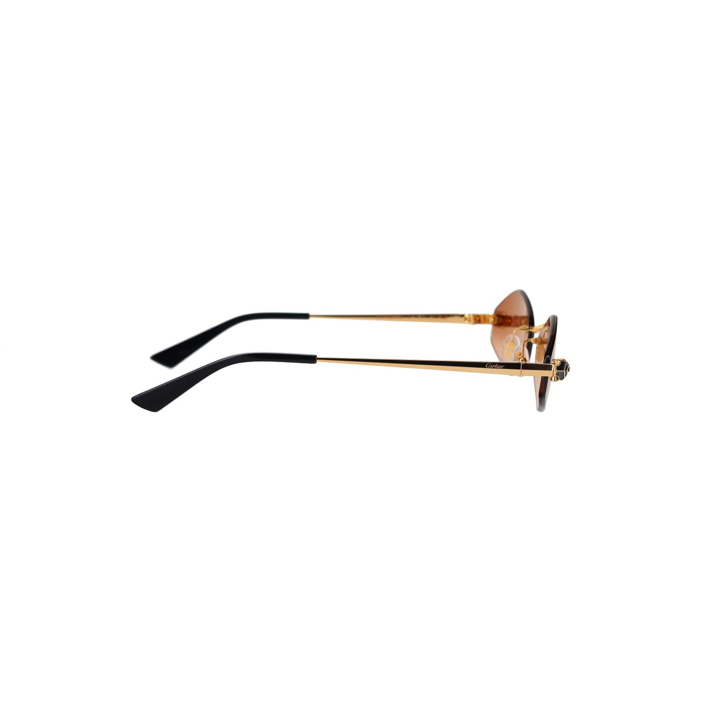 CT0433S Hexagonal Panthère Sunglasses