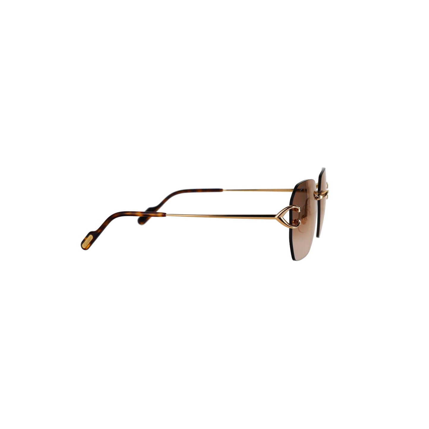 CT0394S Signature C Sunglasses