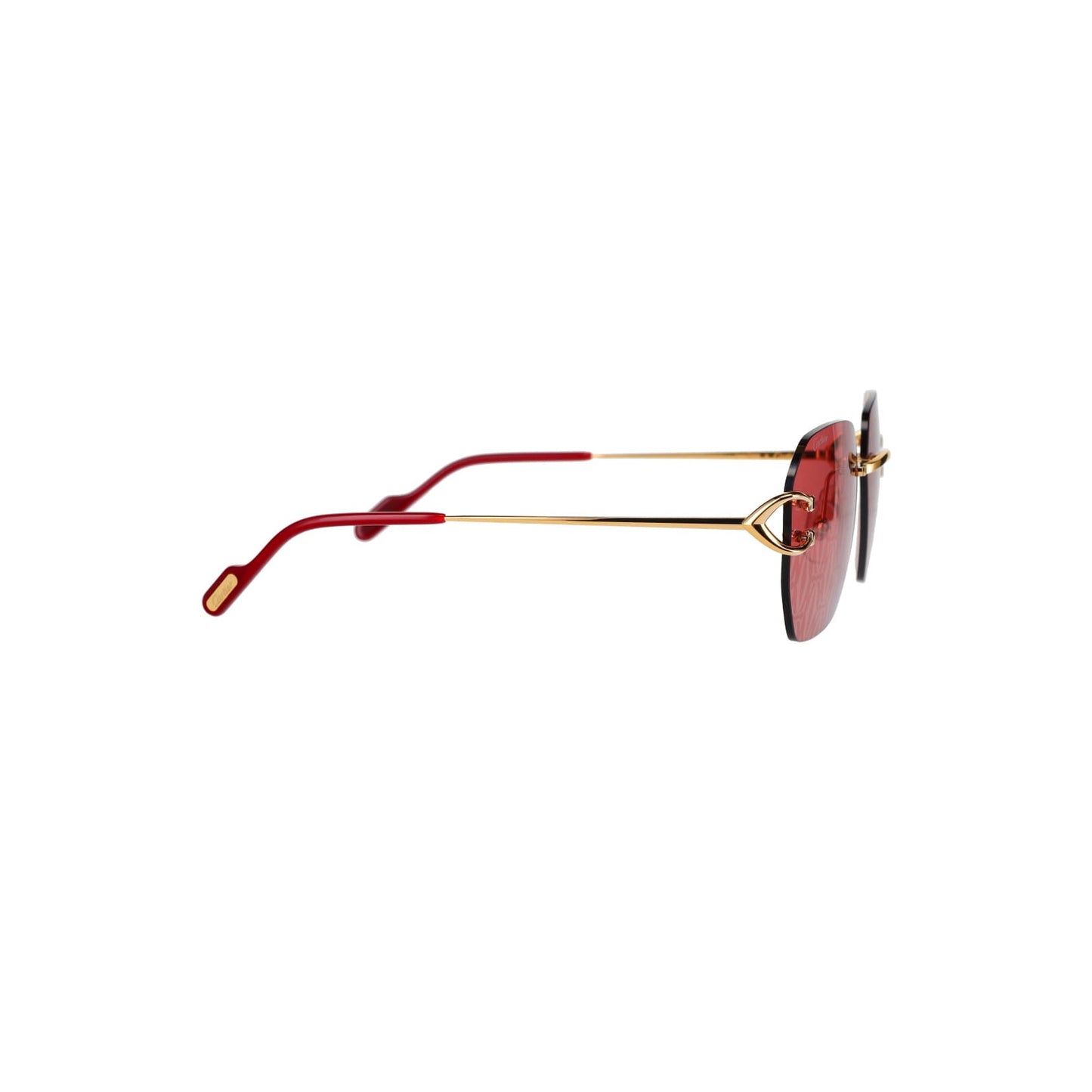 CT0394S Signature C Sunglasses
