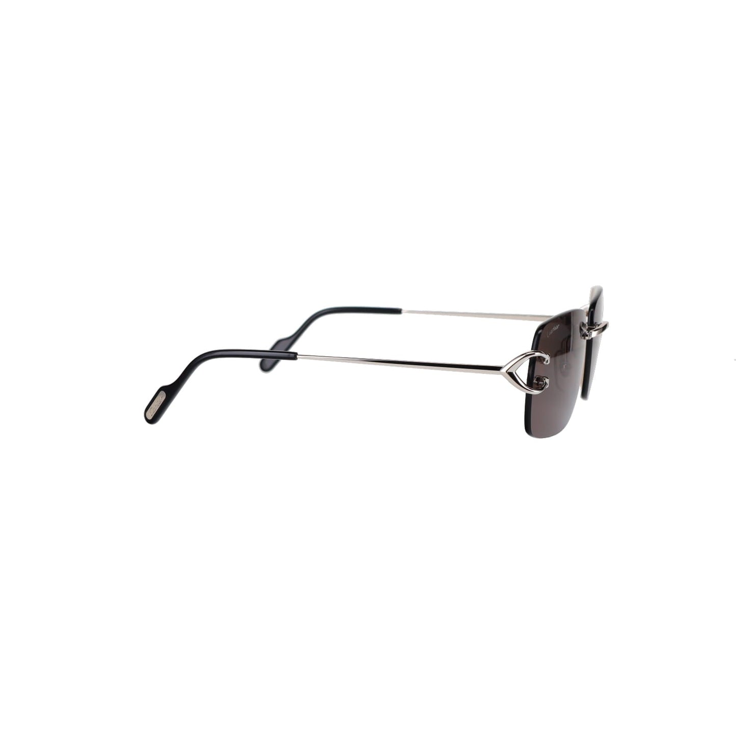 CT0330S Signature C  Sunglasses