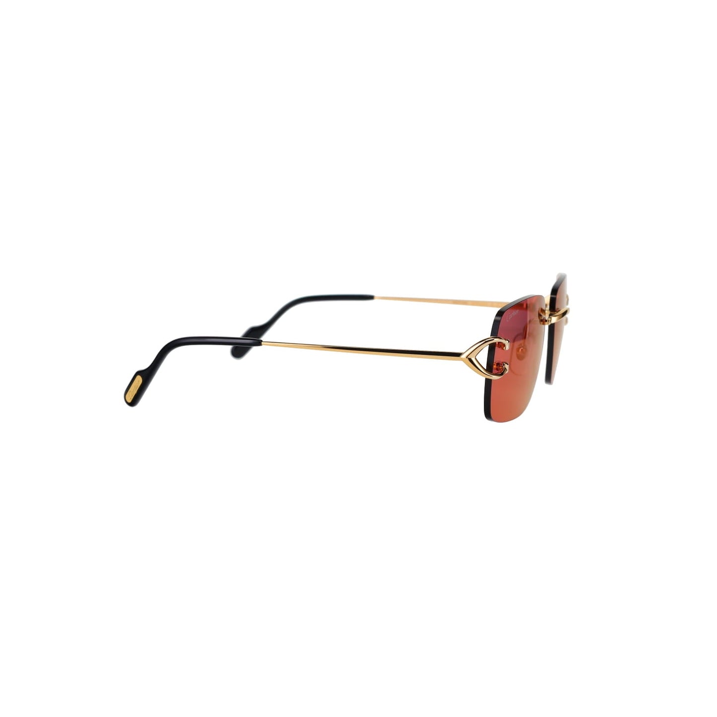 CT0330S Signature C  Sunglasses