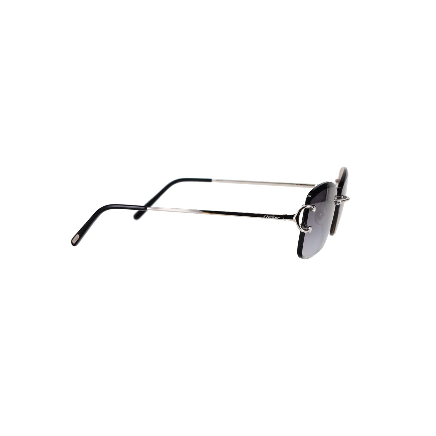 CT0010RS Signature C Sunglasses