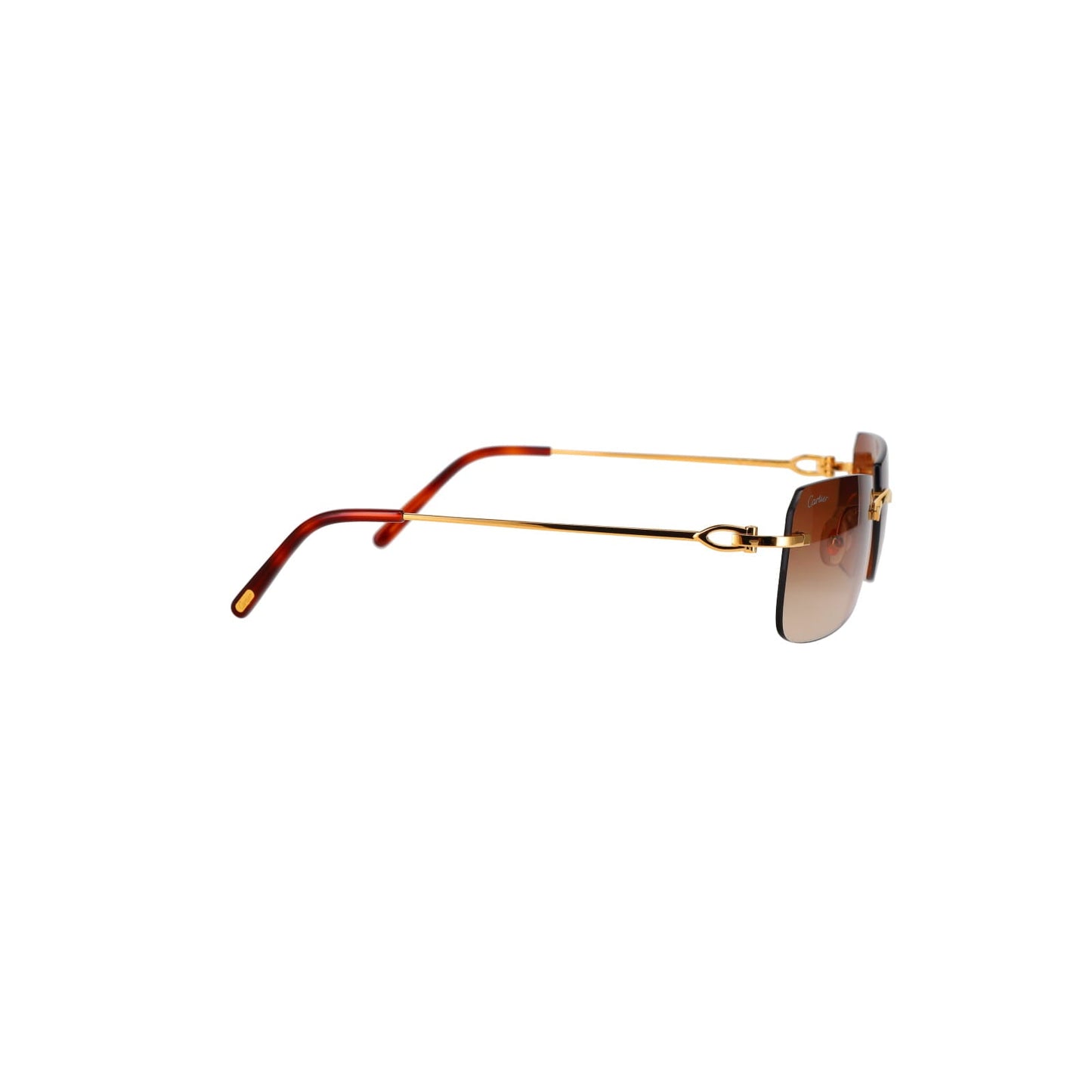 CT0006RS  C Décor Sunglasses