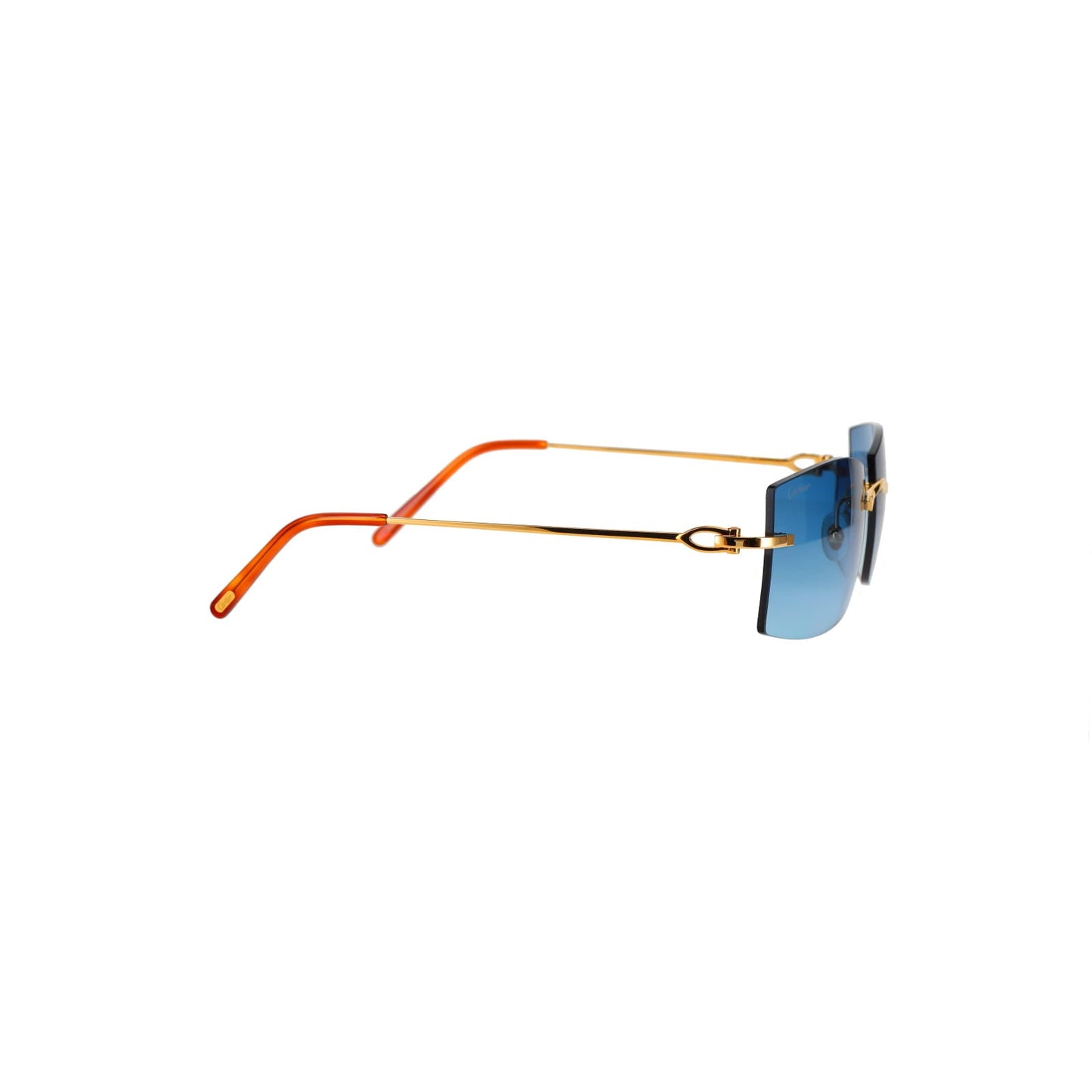 CT0005RS C Décor Sunglasses