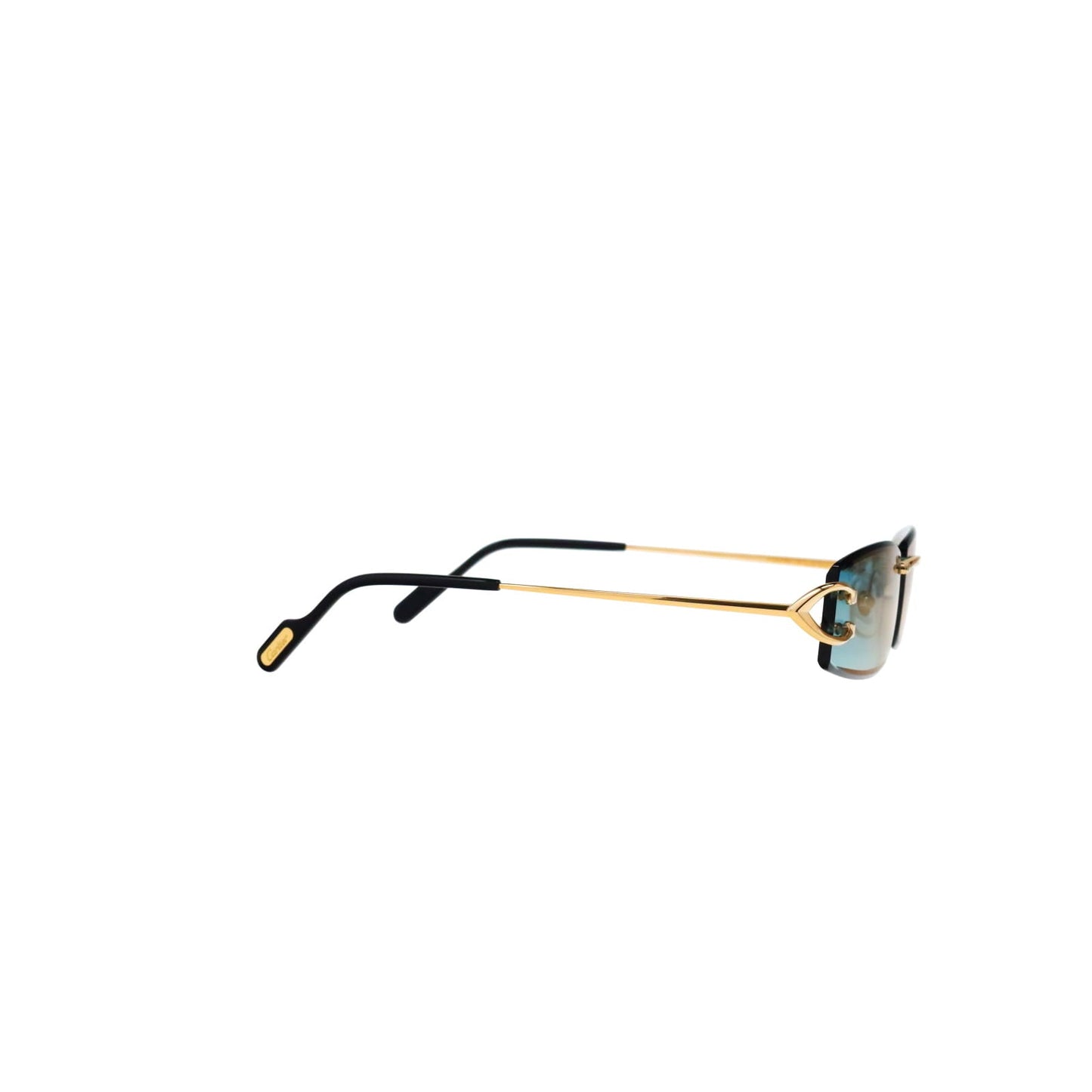 CT0465S Signature C  Rectangular Sunglasses