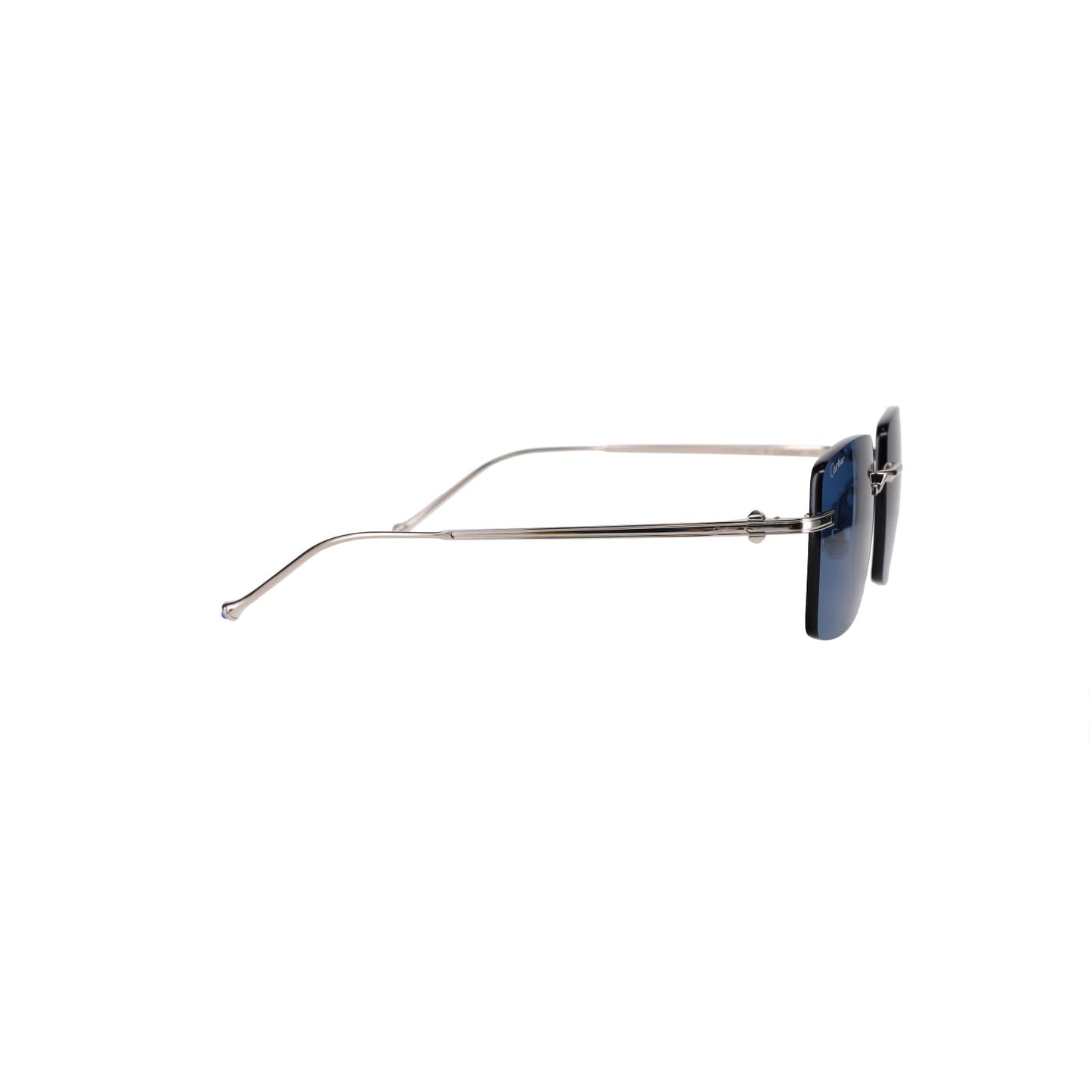 CT0403S Pasha Sunglasses
