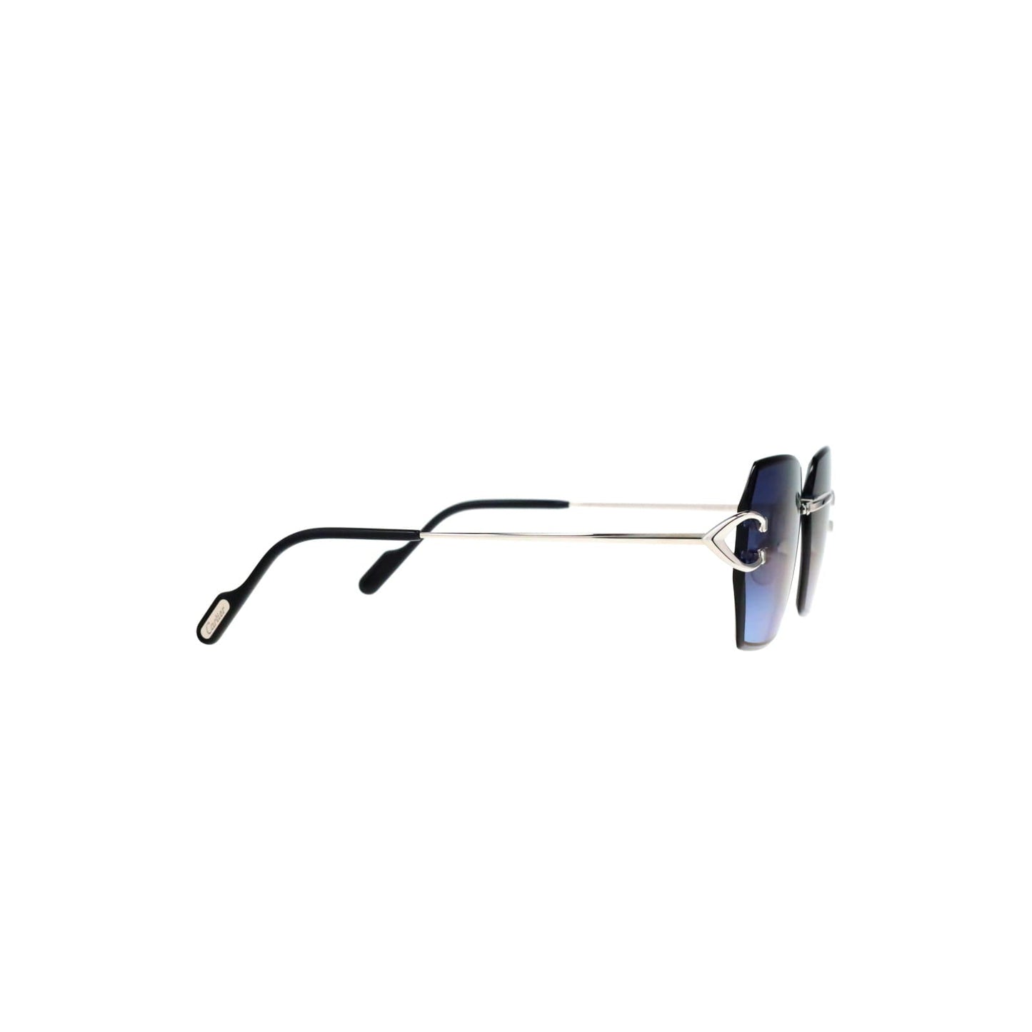 CT0466S  Signature C Sunglasses