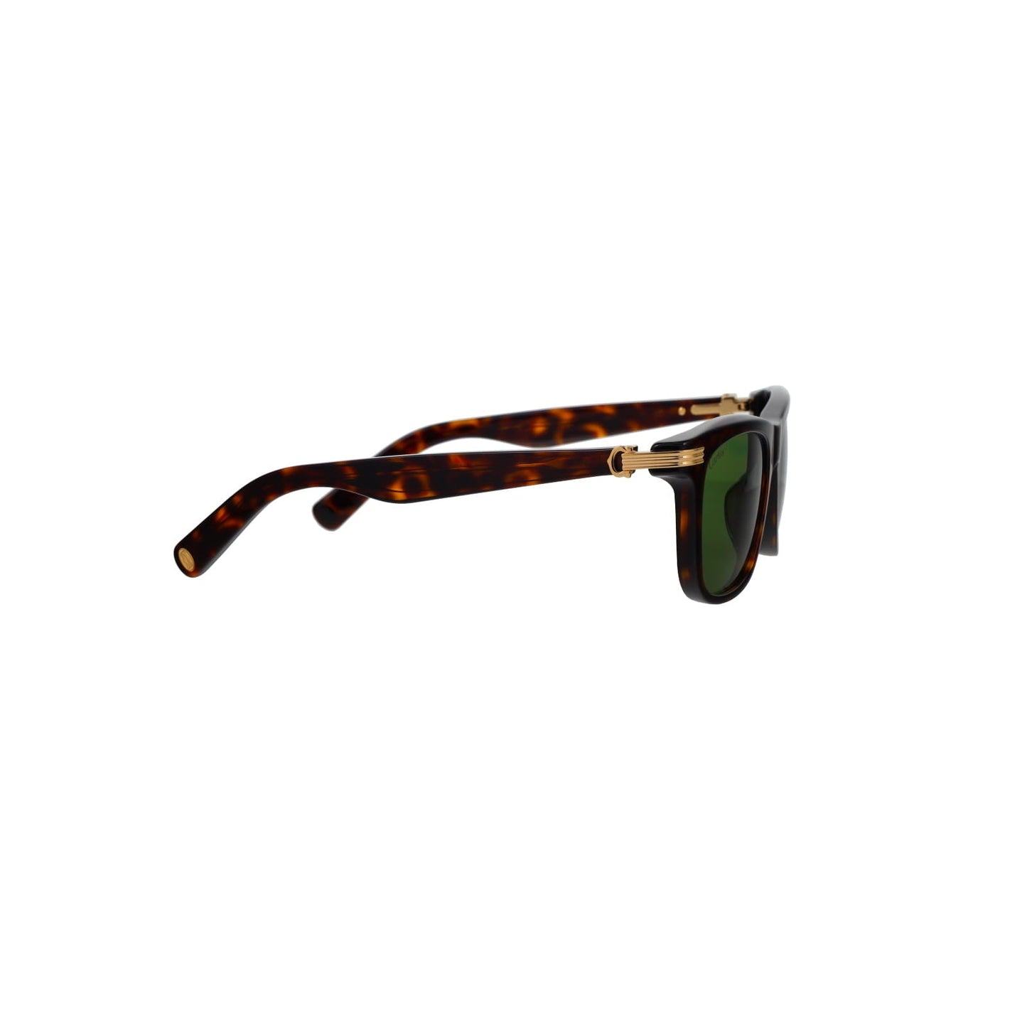 CT0396S Godron Contemporary Acetate Sunglasses