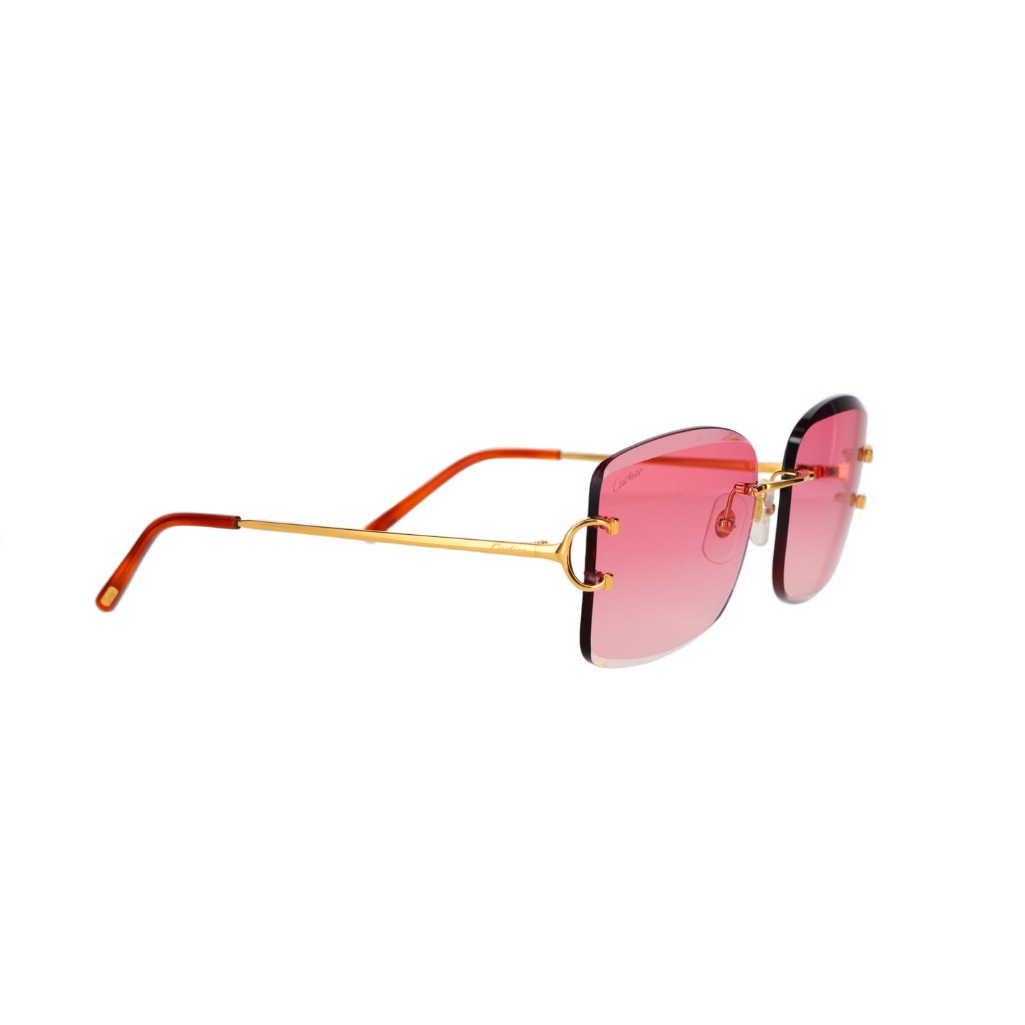 CT0007RS Signature C Sunglasses