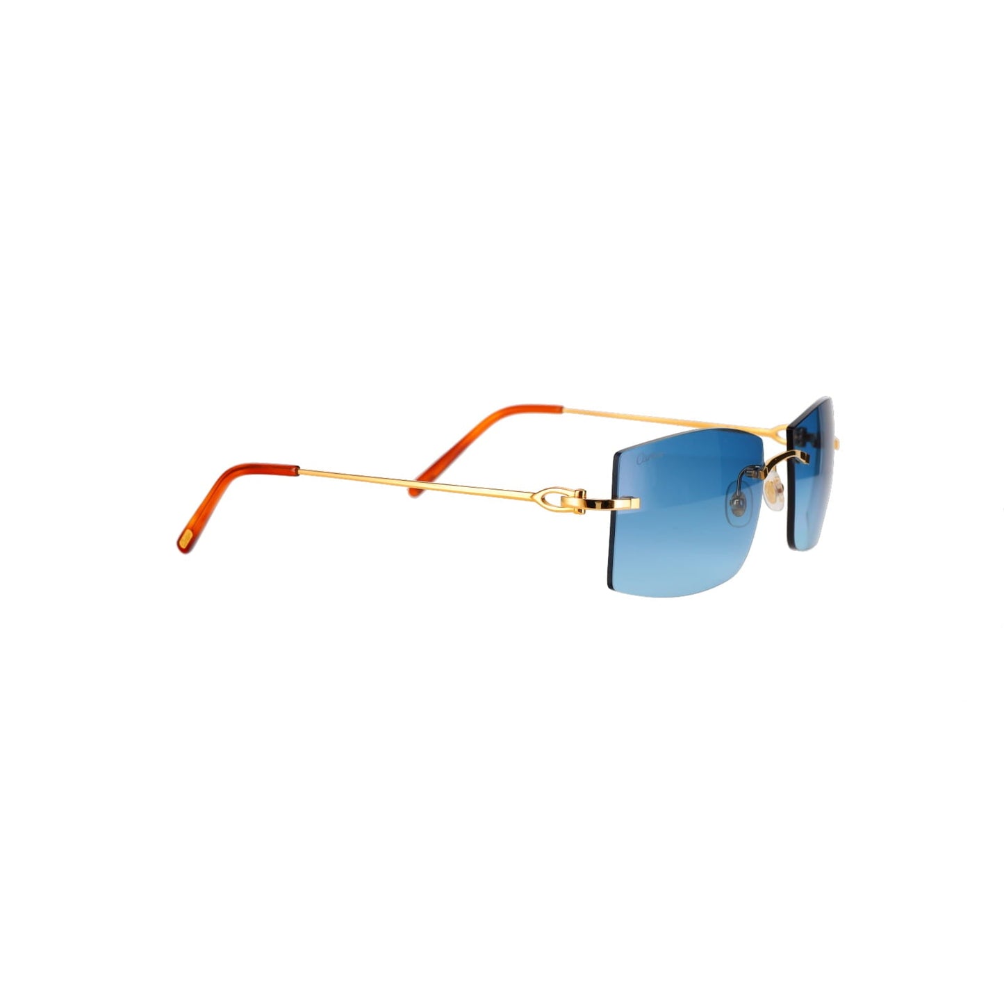 CT0005RS C Décor Sunglasses