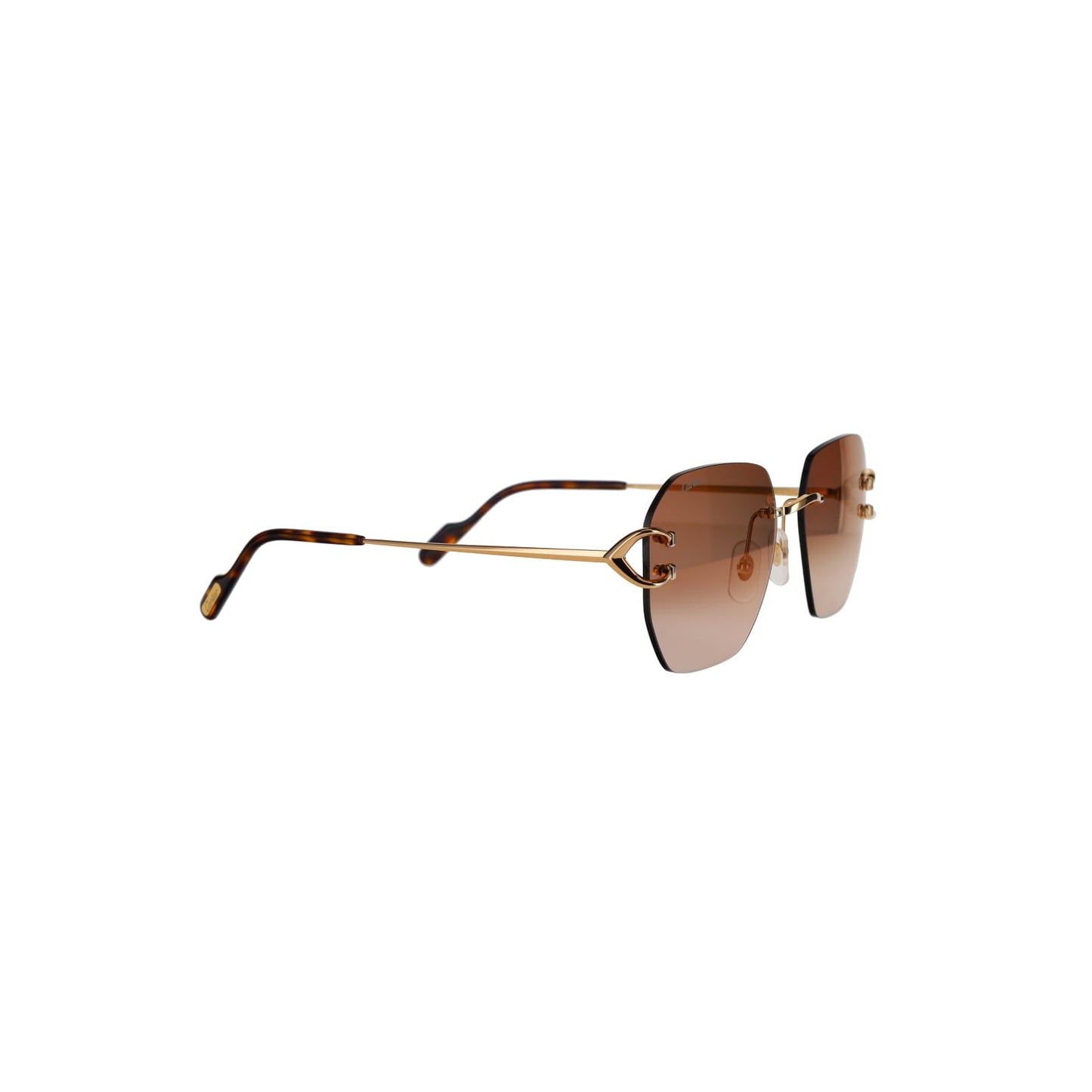 CT0394S Signature C Sunglasses