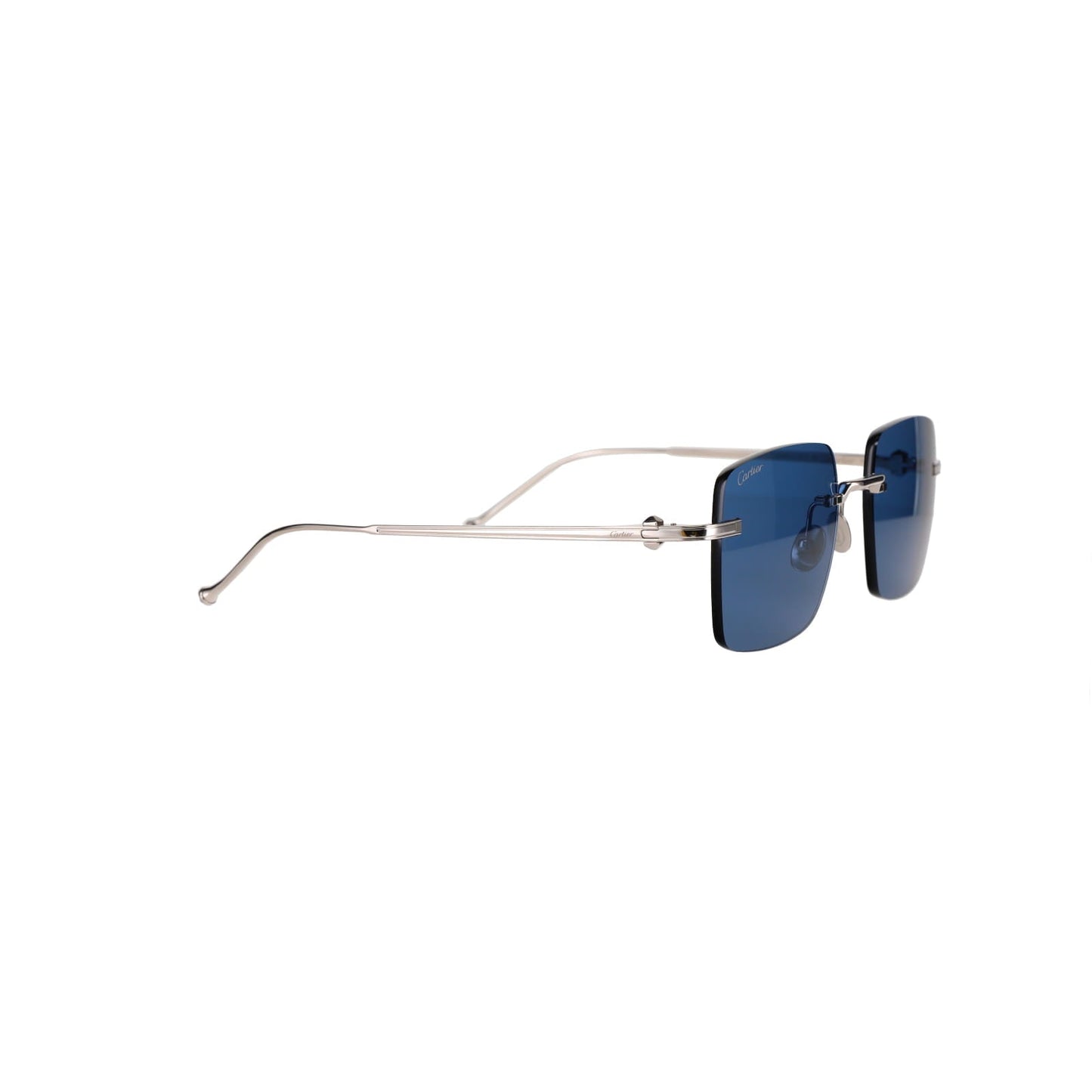 CT0403S Pasha Sunglasses
