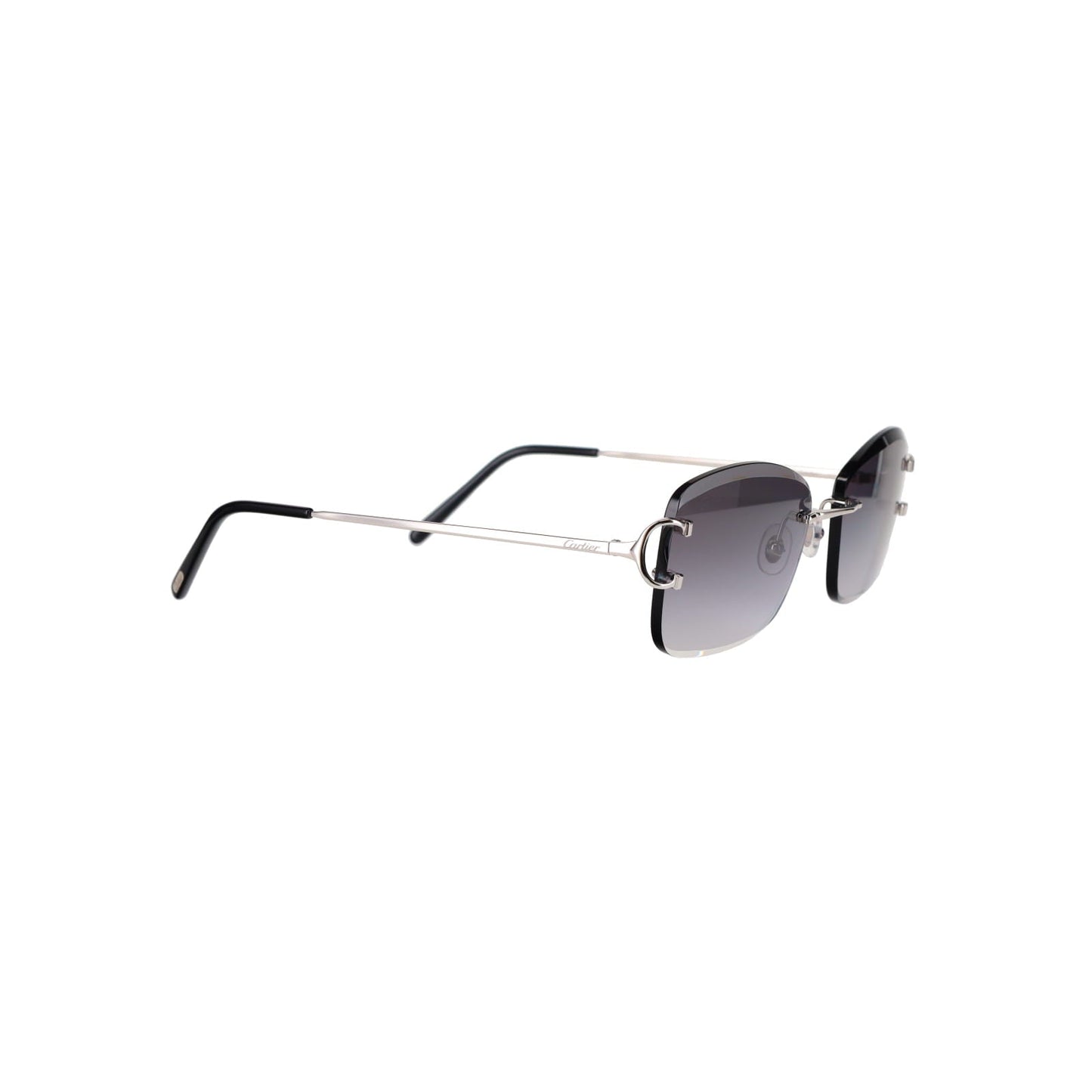 CT0010RS Signature C Sunglasses