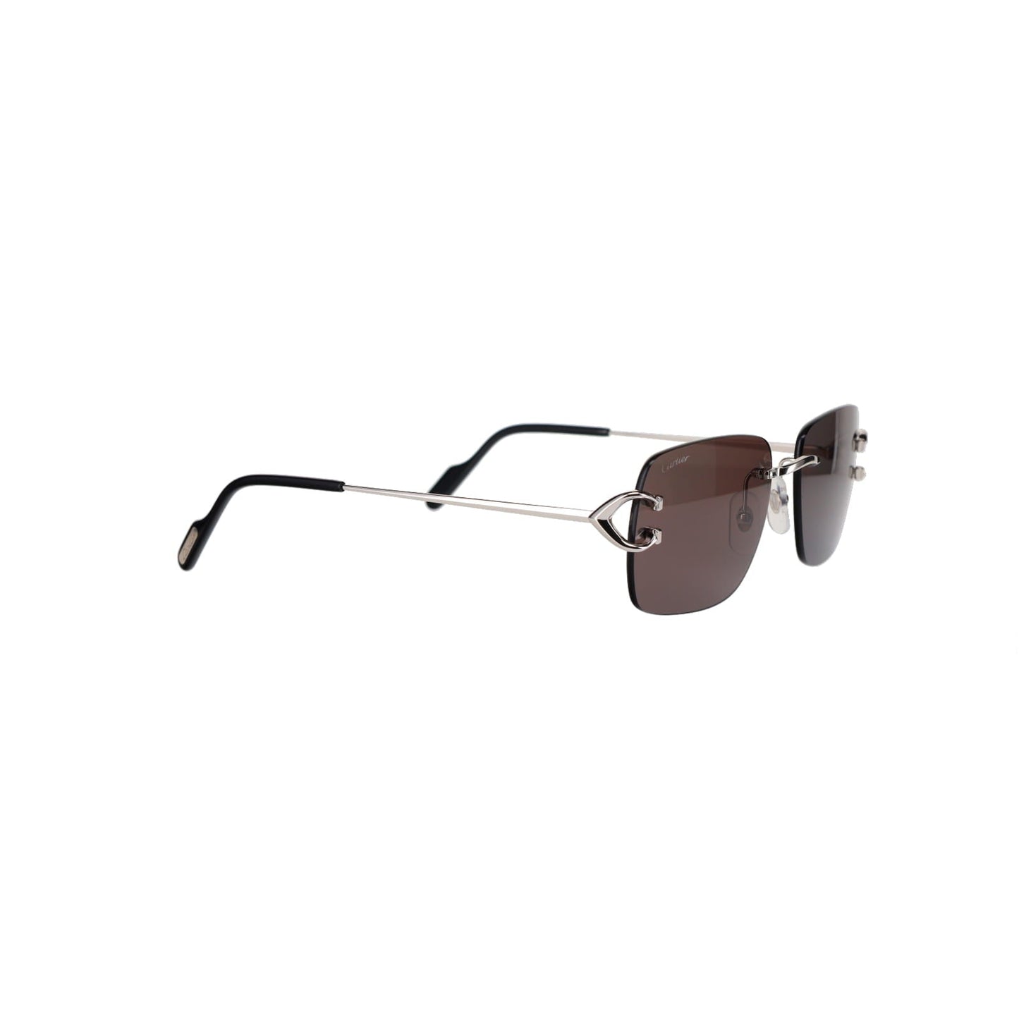 CT0330S Signature C  Sunglasses