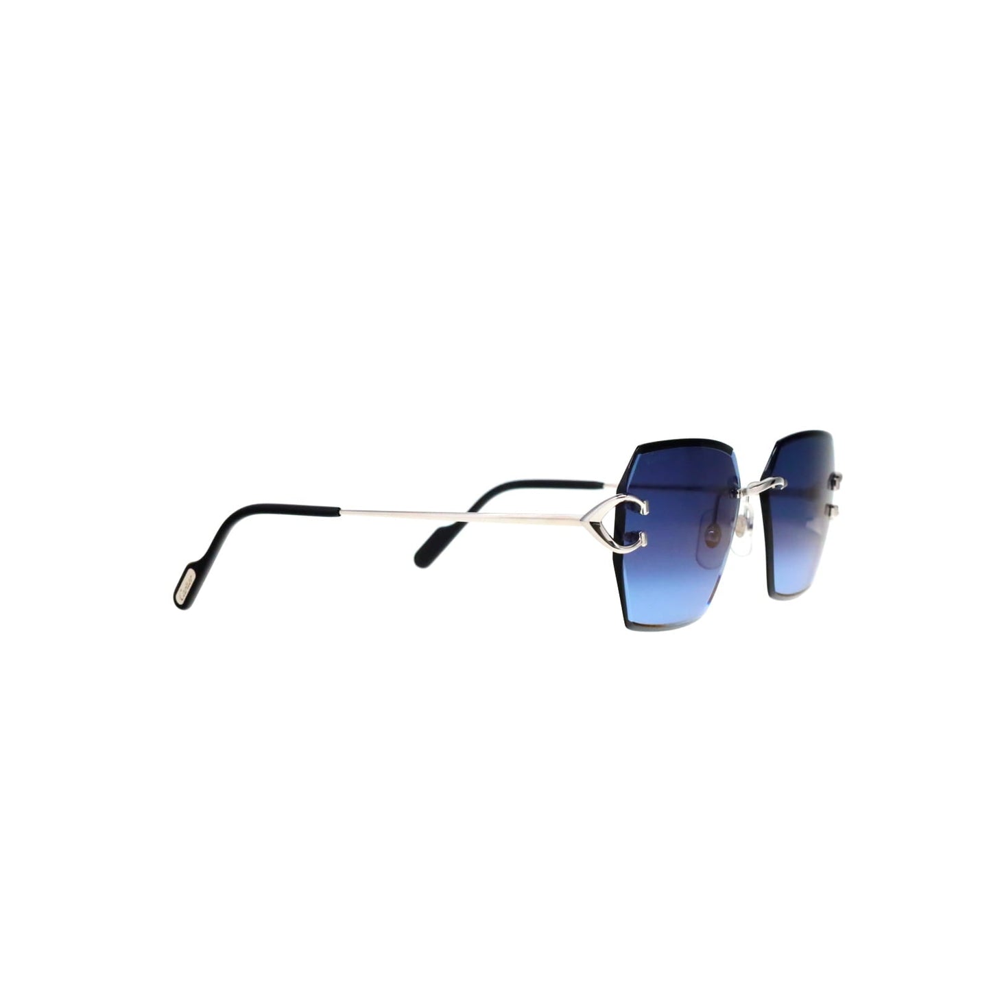 CT0466S  Signature C Sunglasses