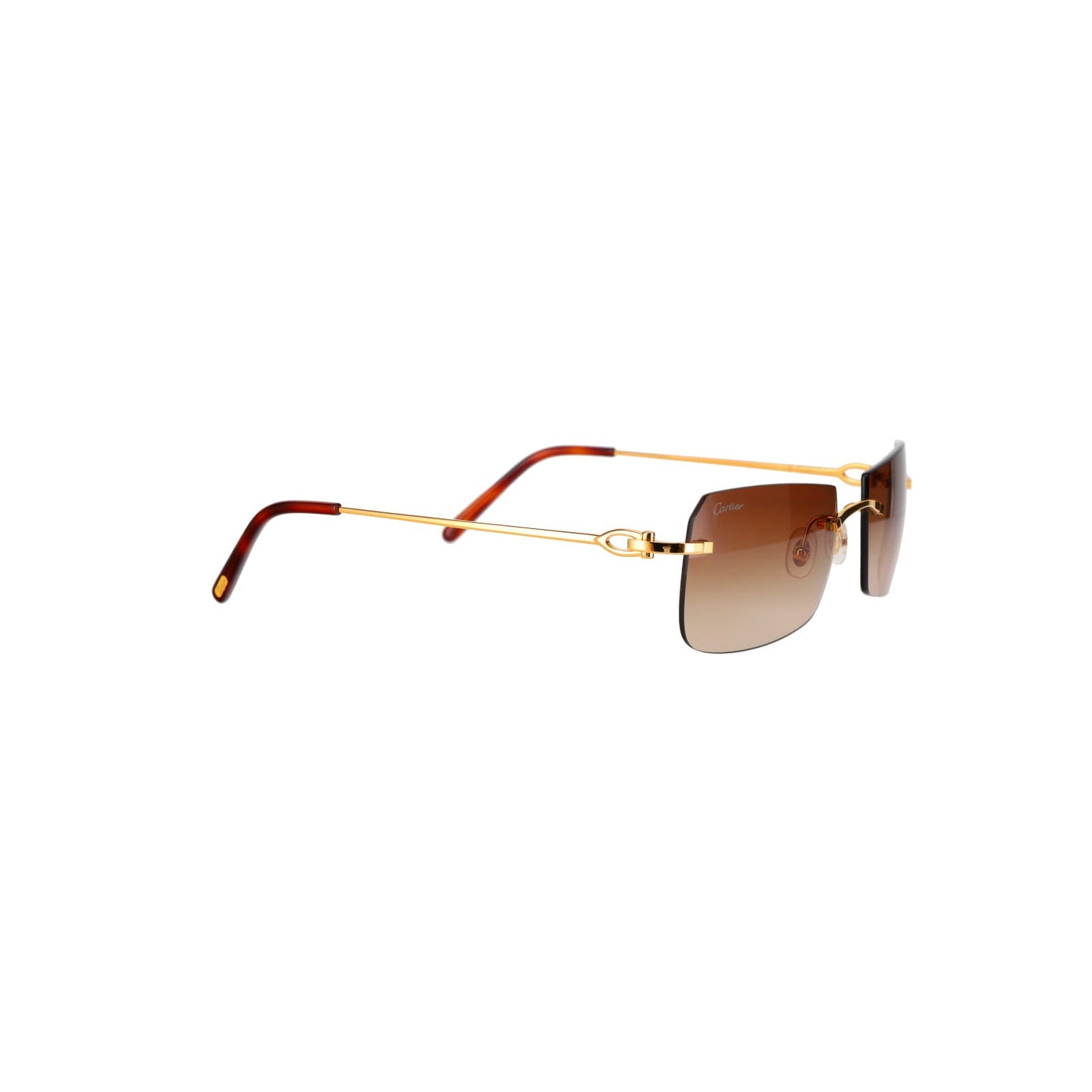 CT0006RS  C Décor Sunglasses