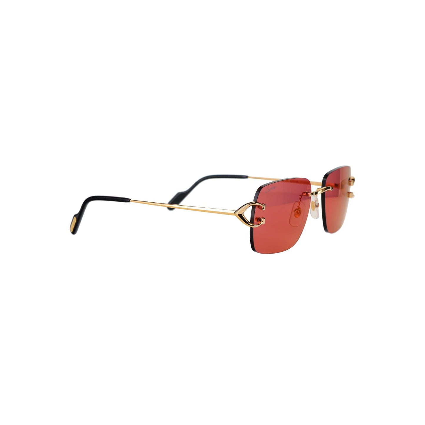 CT0330S Signature C  Sunglasses