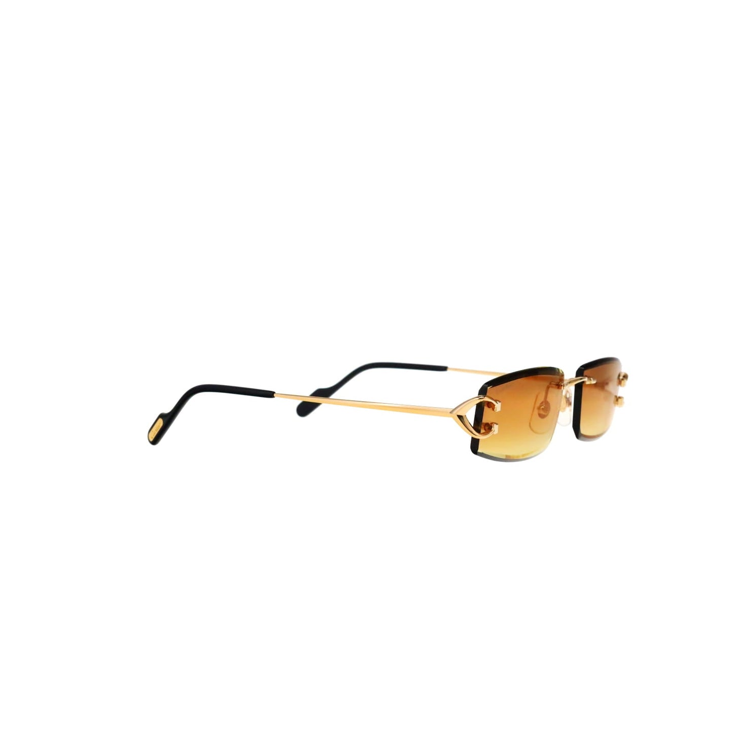 CT0465S Signature C  Rectangular Sunglasses