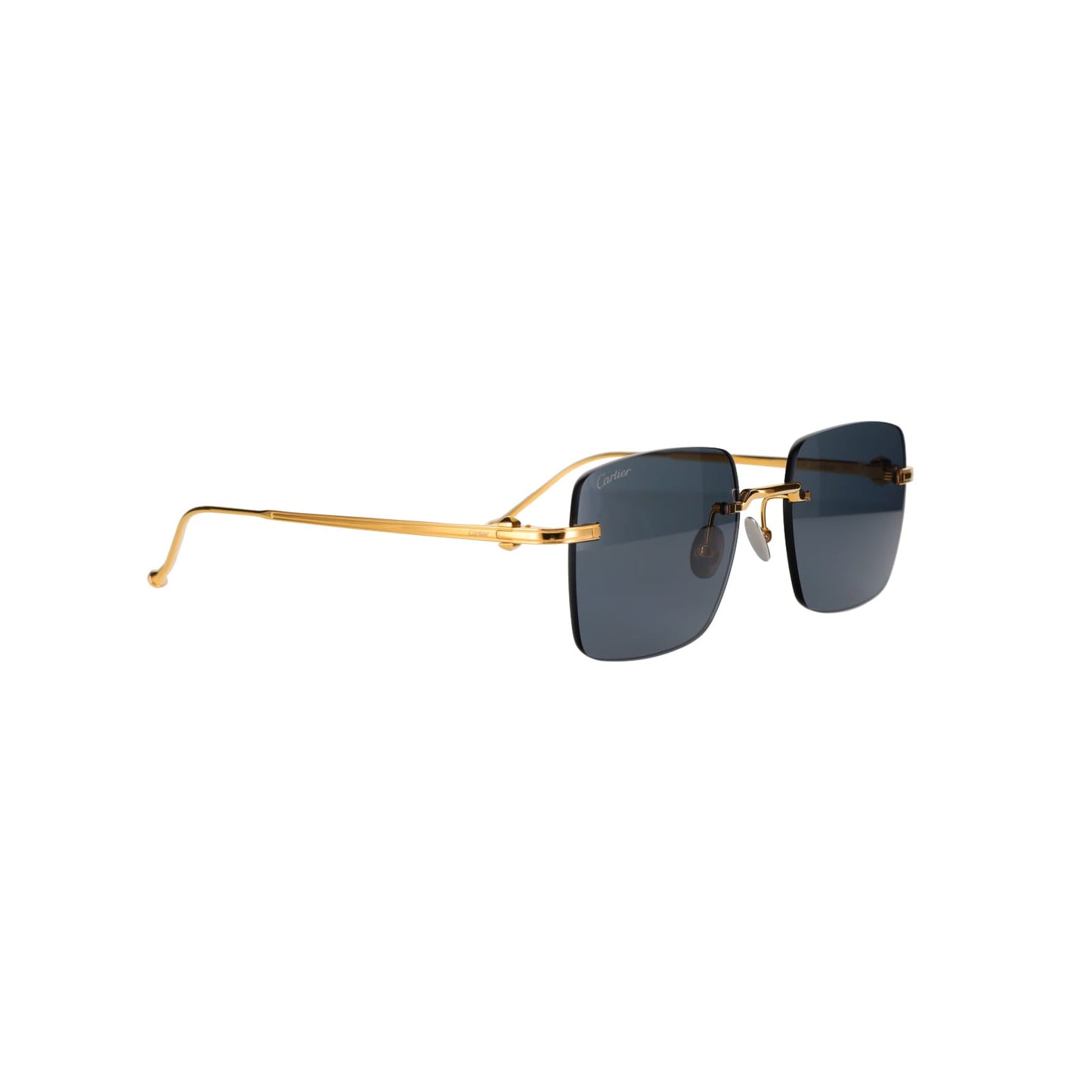 CT0403S Pasha Sunglasses