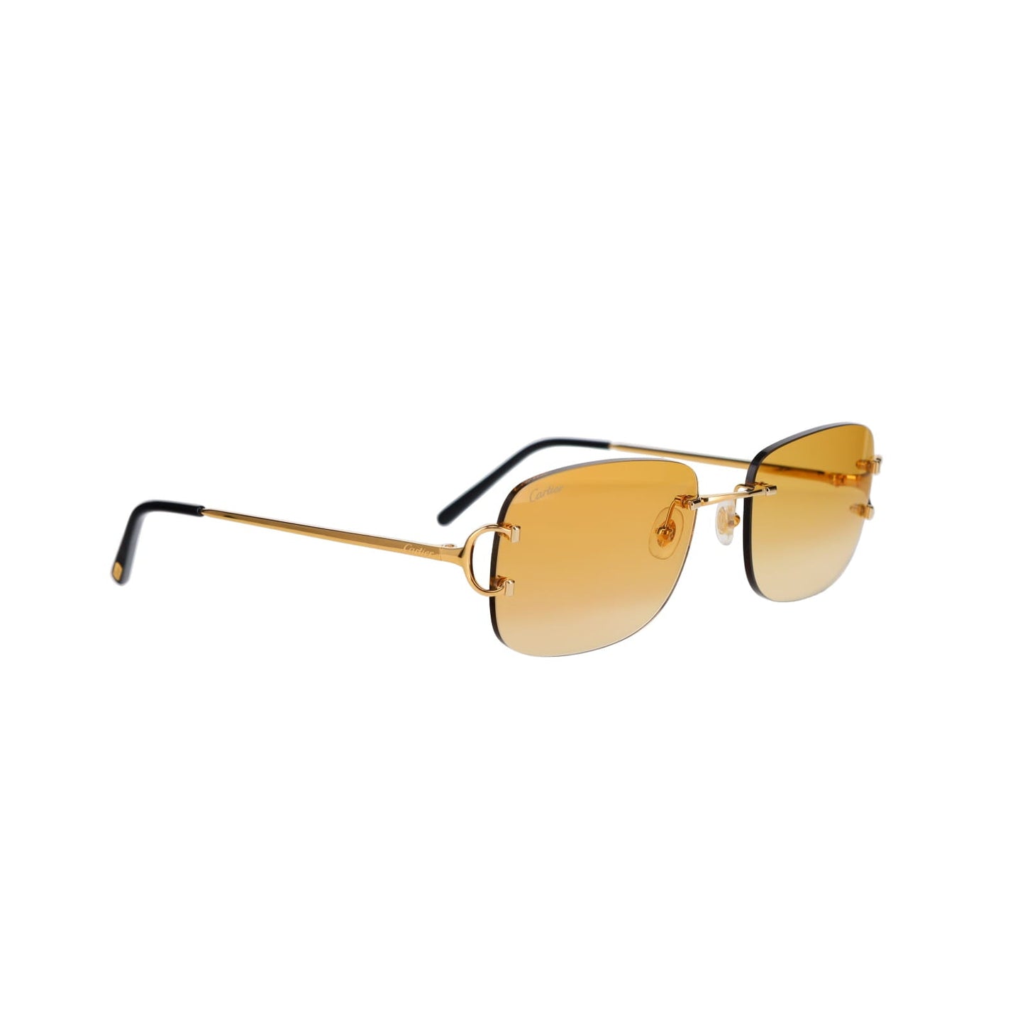 CT0011RS Signature C Sunglasses