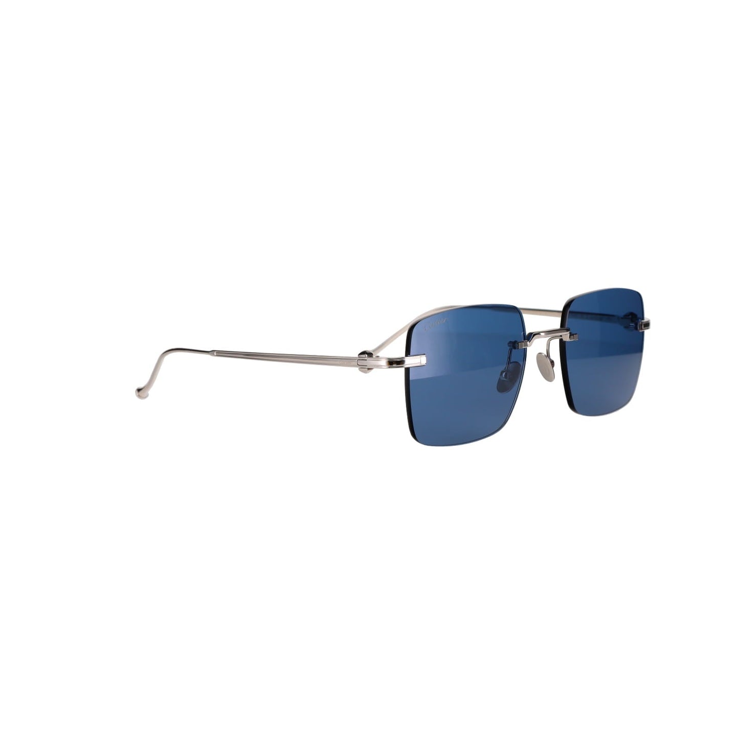 CT0403S Pasha Sunglasses