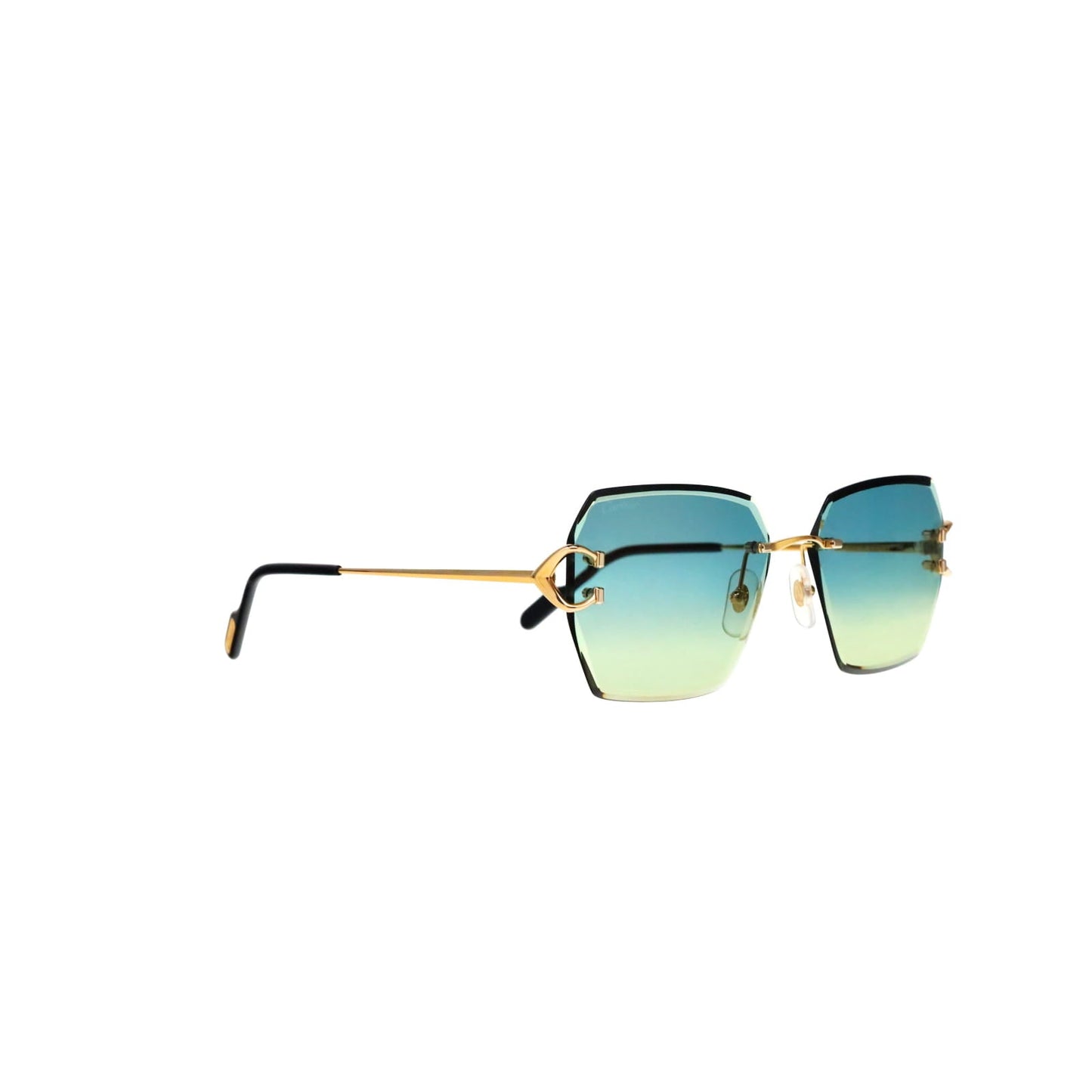 CT0466S  Signature C Sunglasses