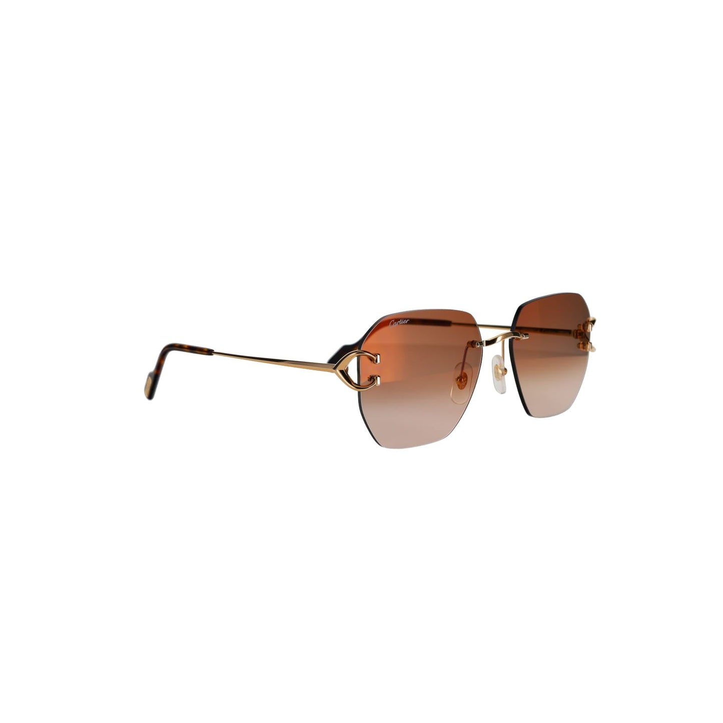 CT0394S Signature C Sunglasses