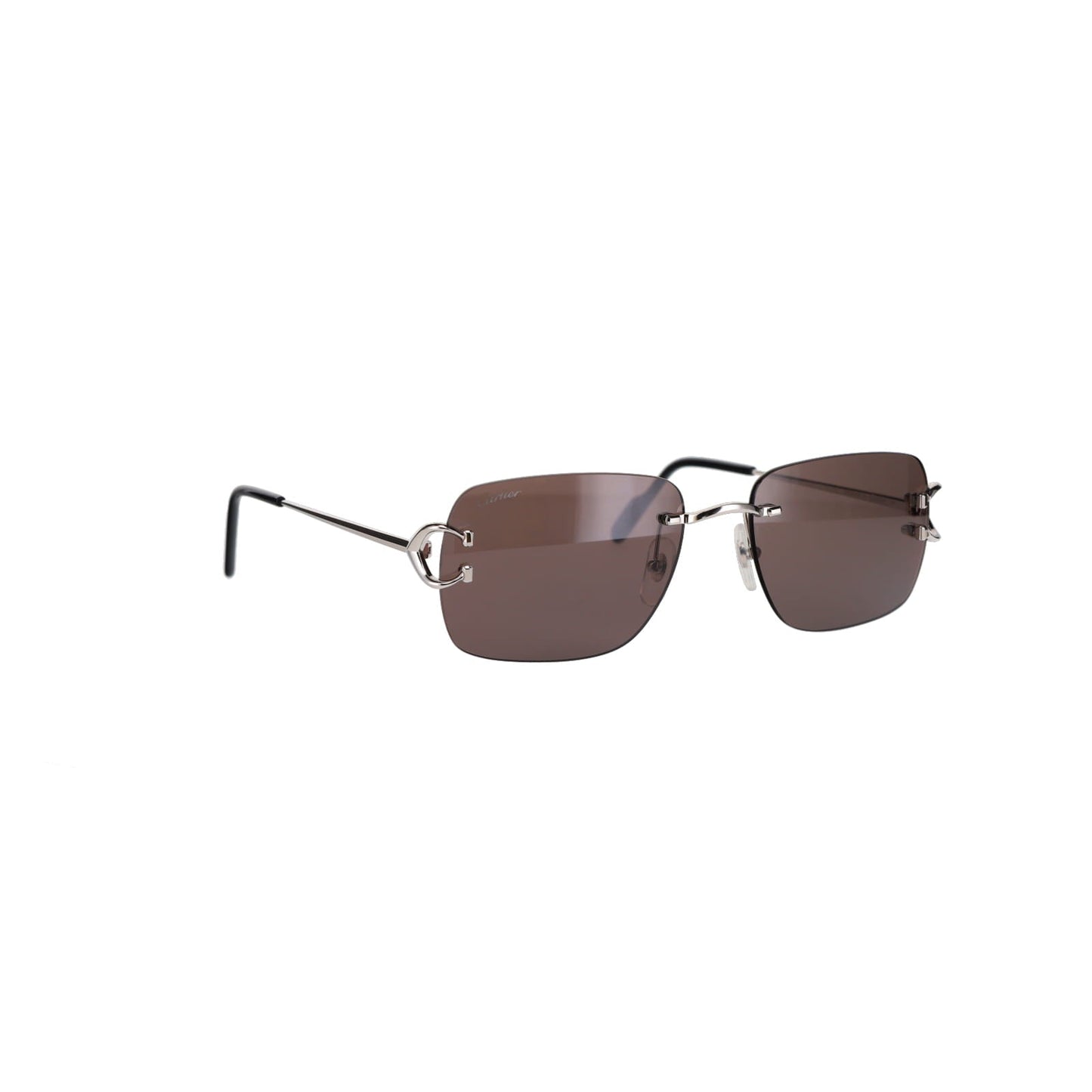 CT0330S Signature C  Sunglasses