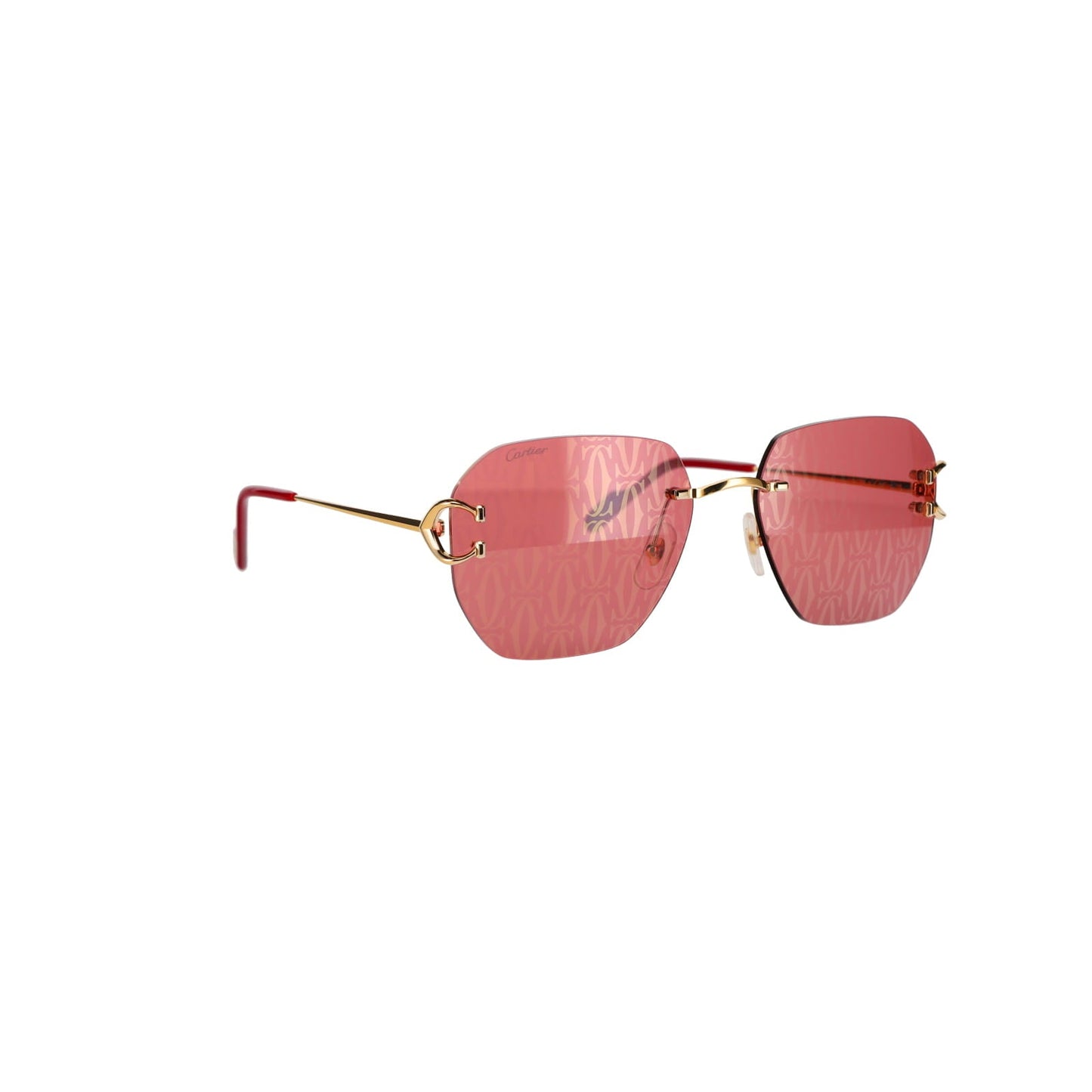 CT0394S Signature C Sunglasses