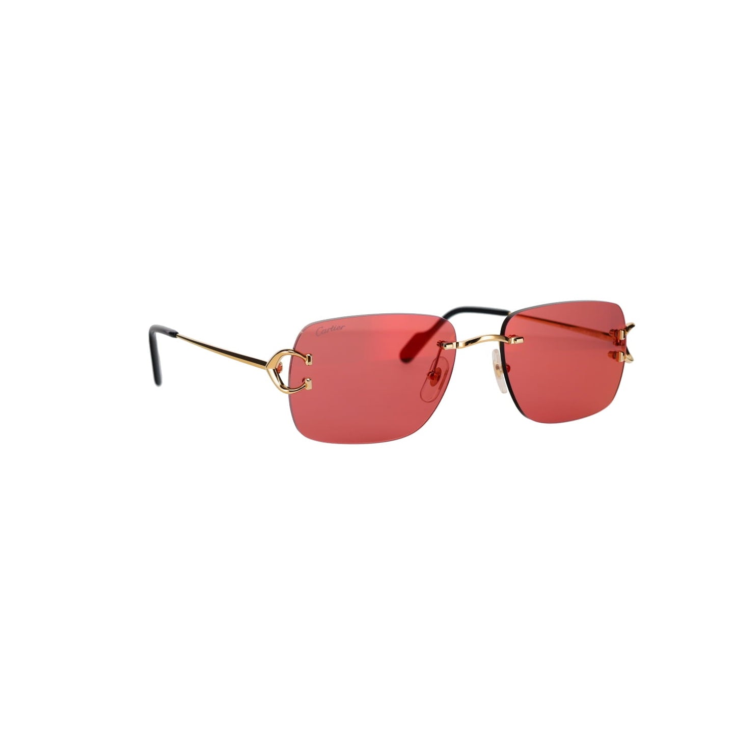 CT0330S Signature C  Sunglasses