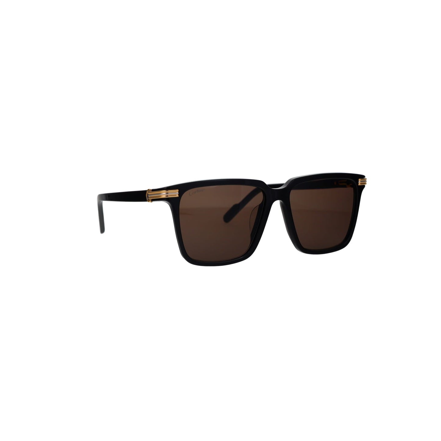 CT0366S Contemporary Acetate Sunglasses
