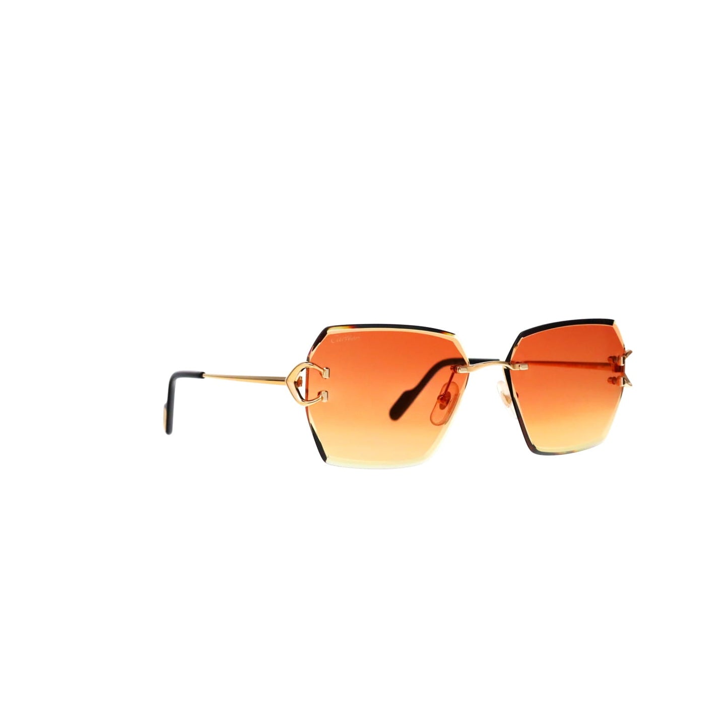 CT0466S  Signature C Sunglasses