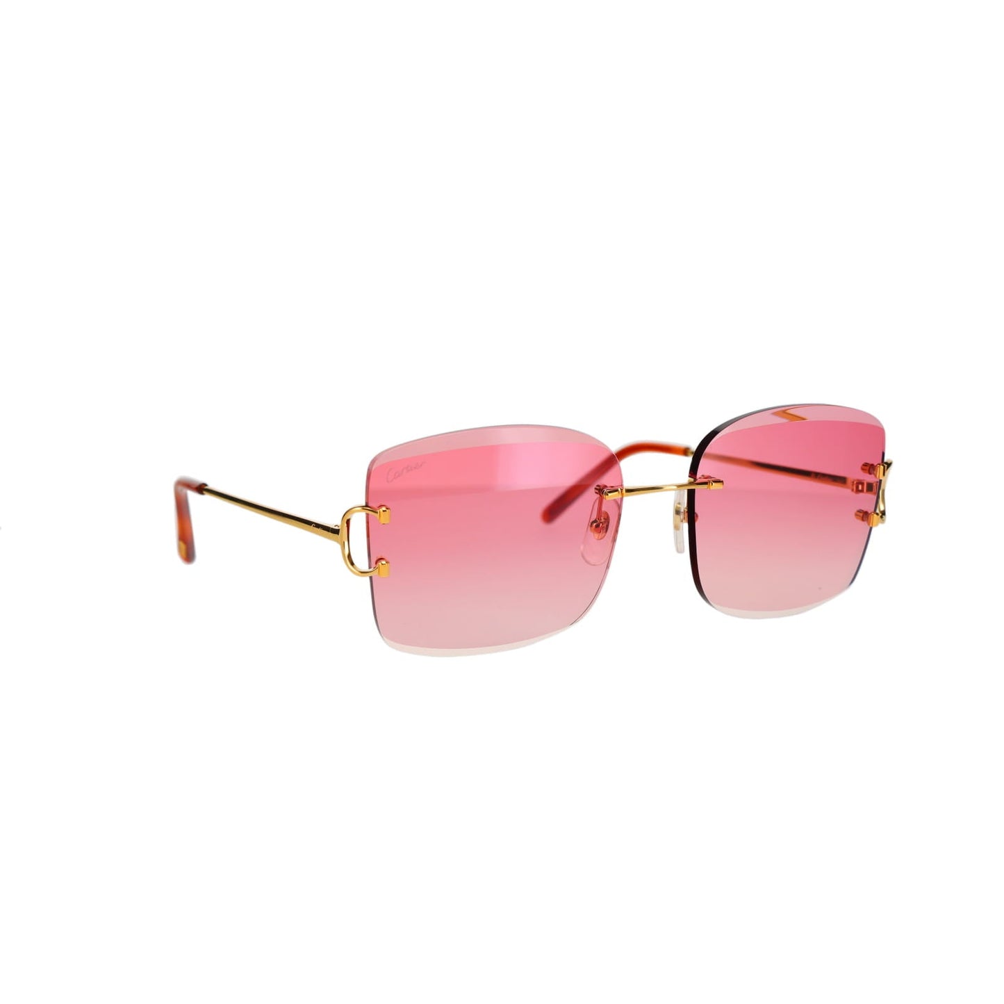 CT0007RS Signature C Sunglasses
