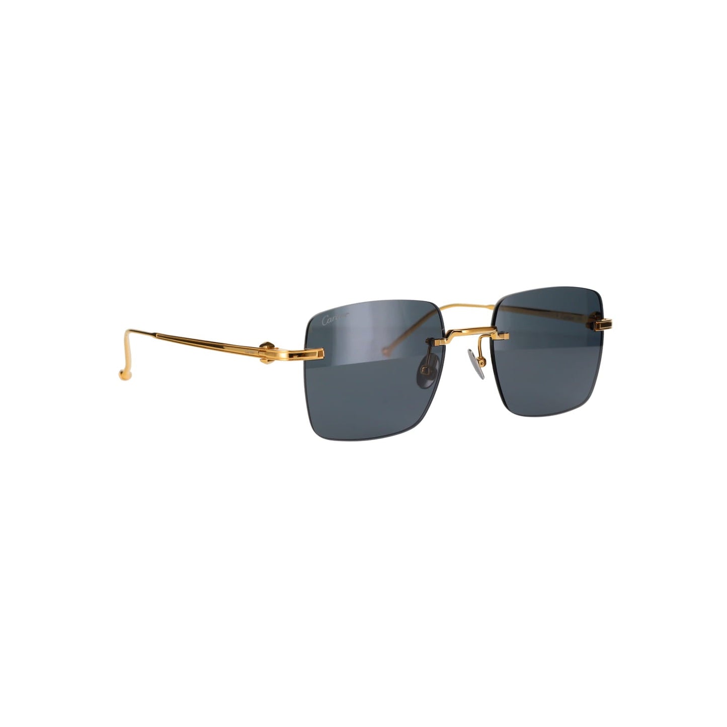 CT0403S Pasha Sunglasses