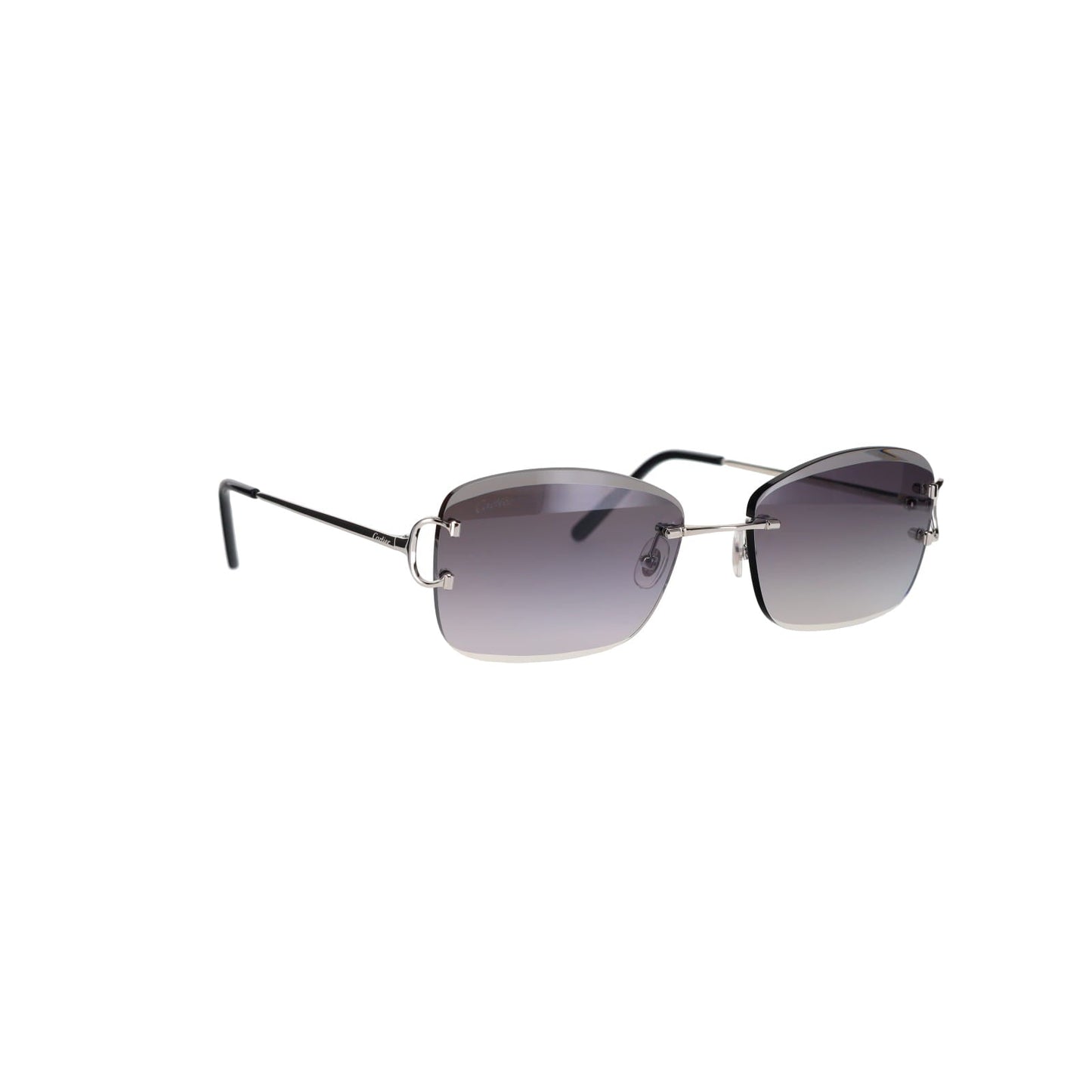 CT0010RS Signature C Sunglasses