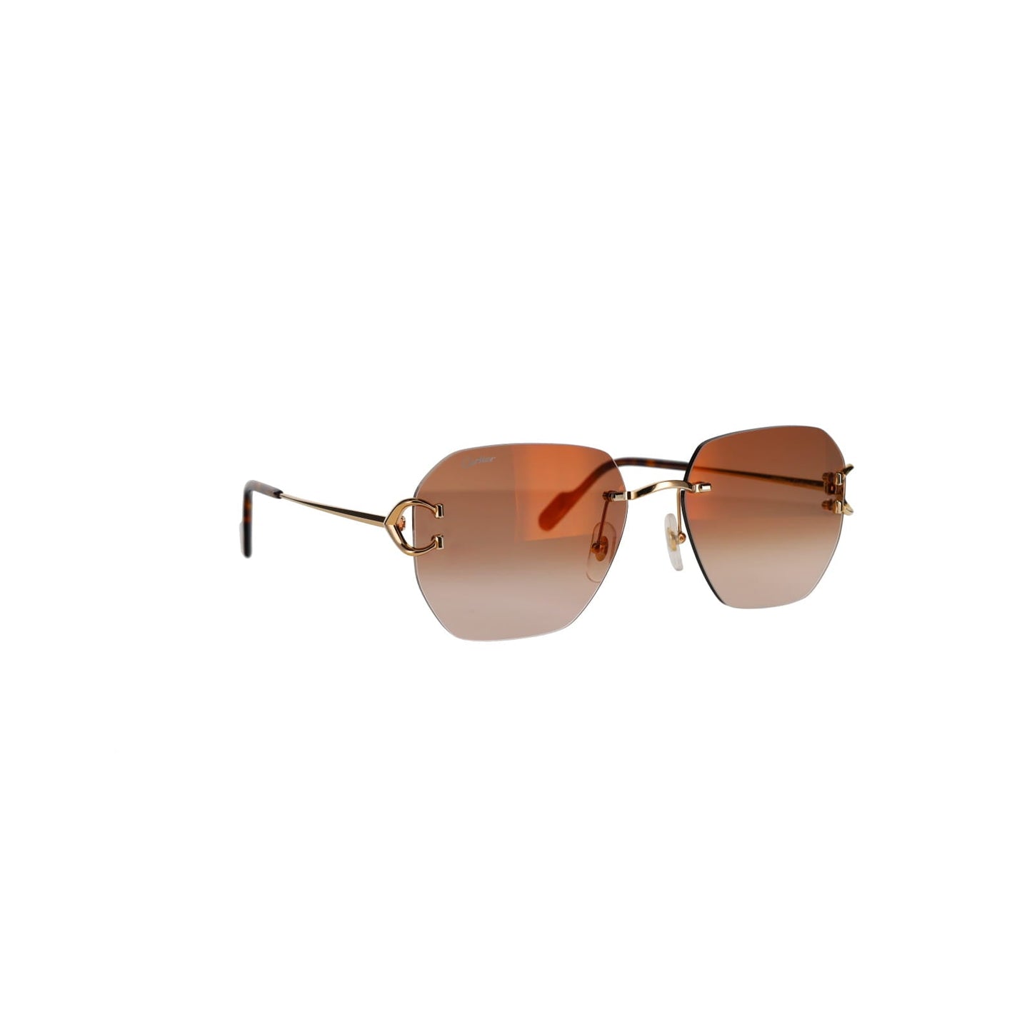 CT0394S Signature C Sunglasses