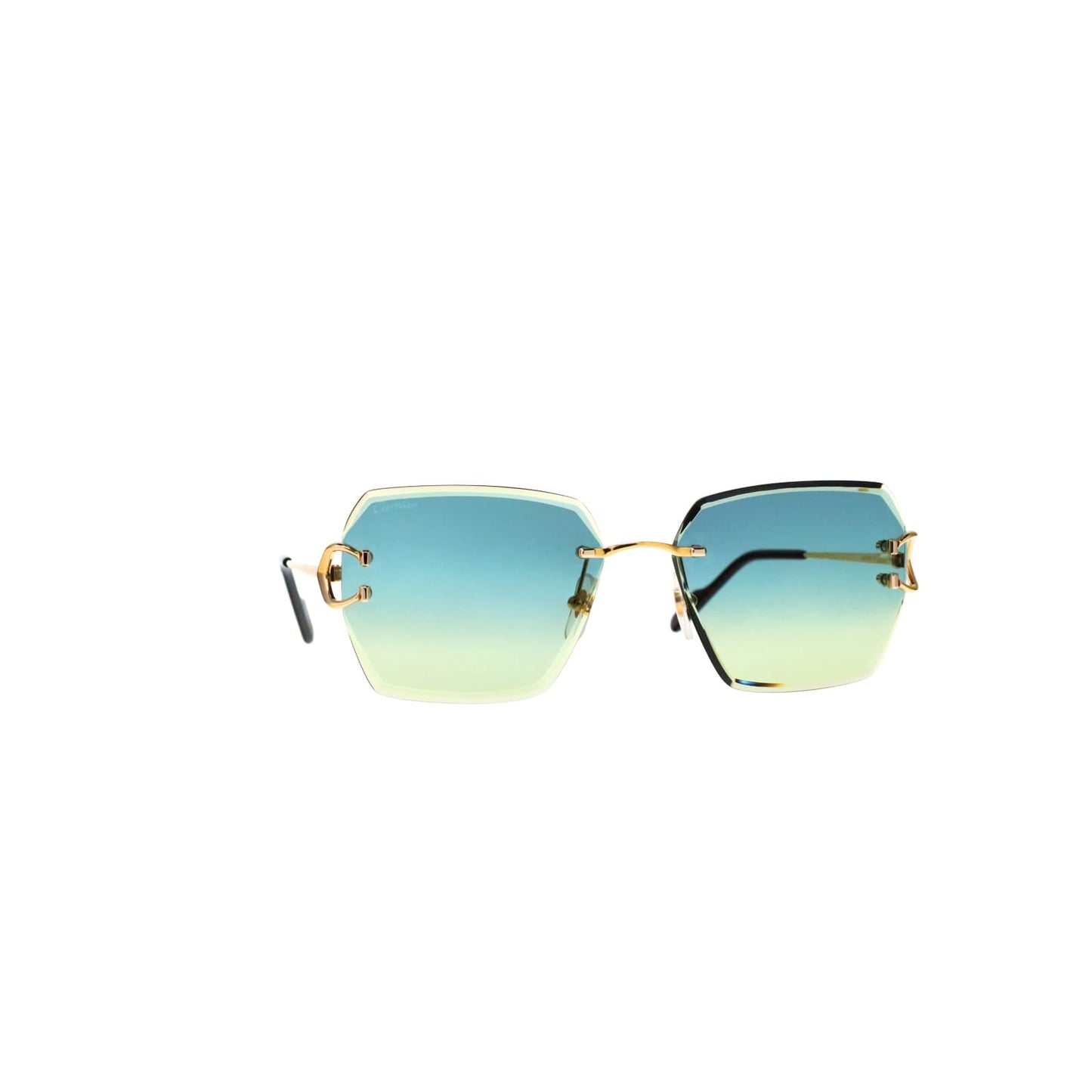 CT0466S  Signature C Sunglasses
