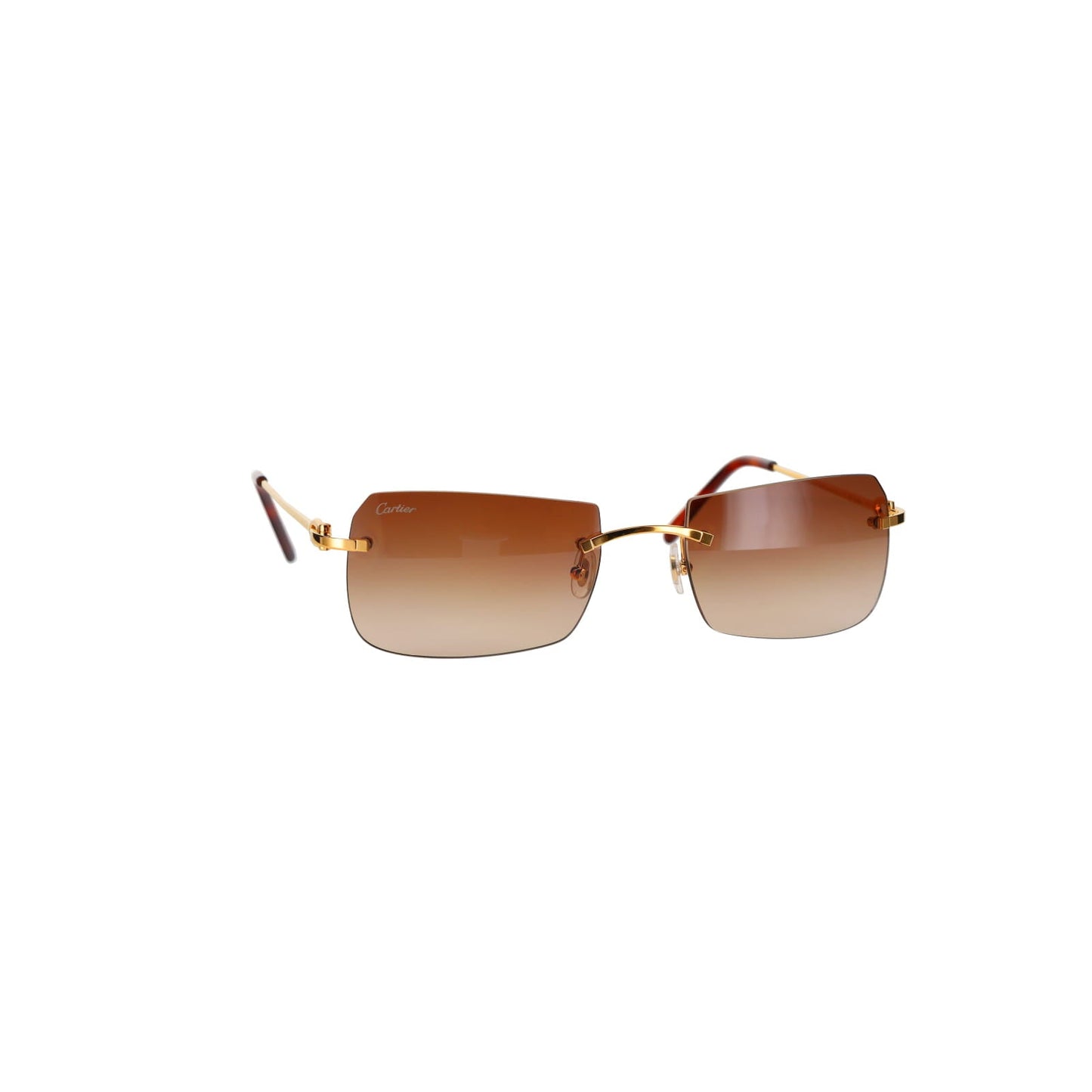 CT0006RS  C Décor Sunglasses