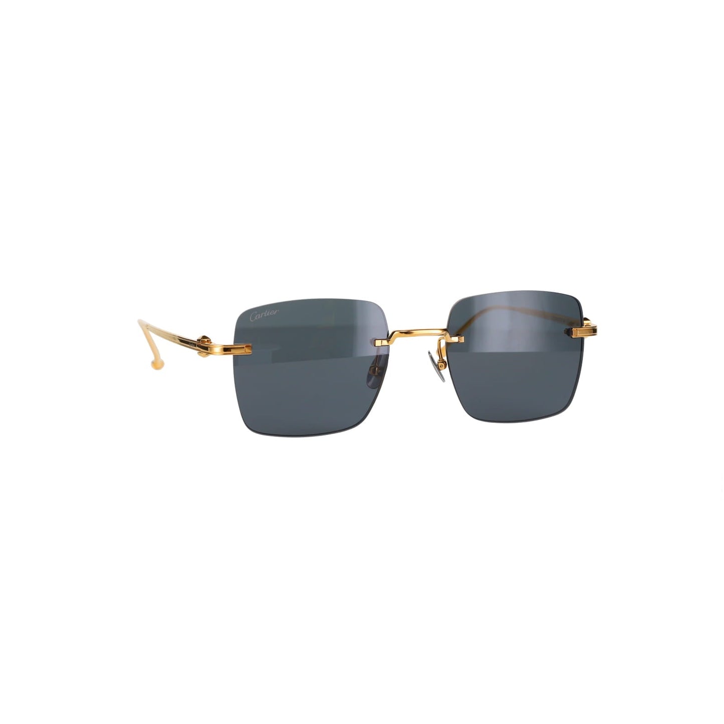CT0403S Pasha Sunglasses