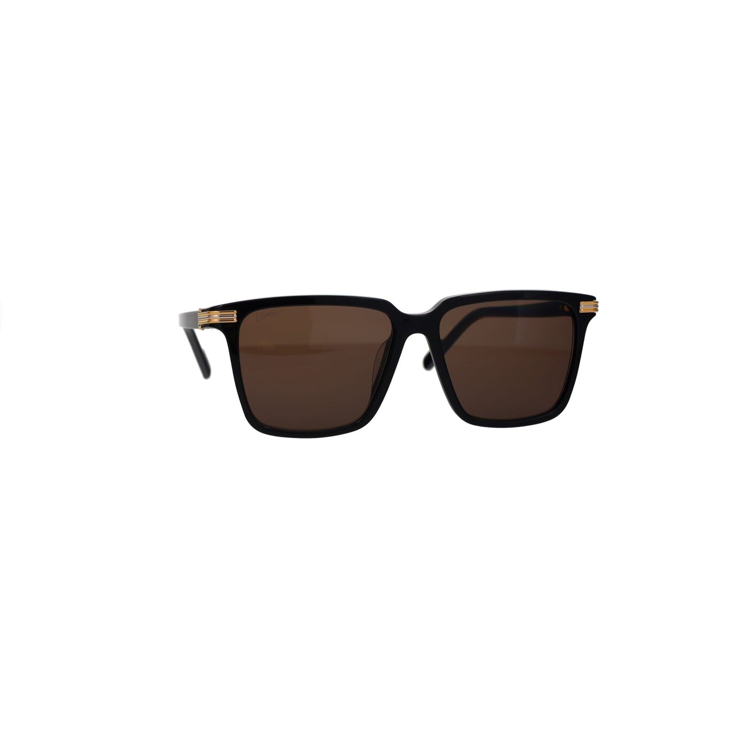 CT0366S Contemporary Acetate Sunglasses